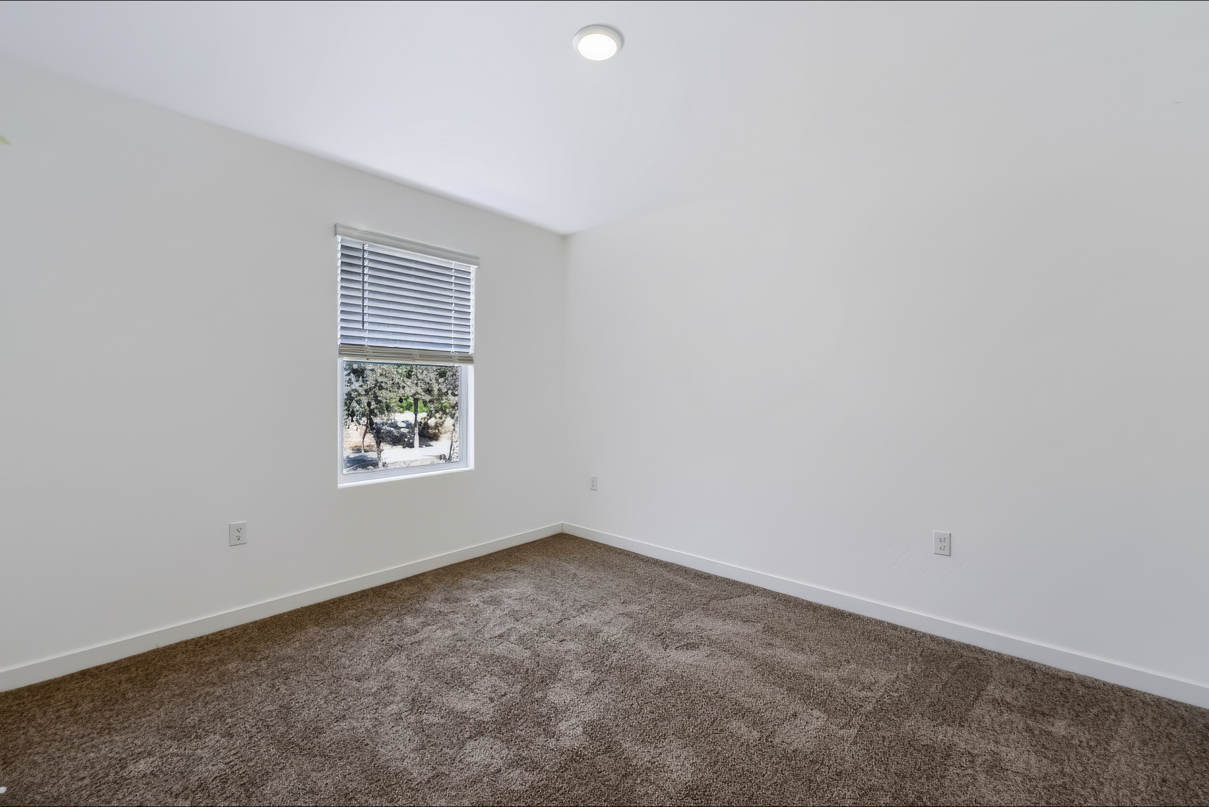 A room with a carpet and a window.