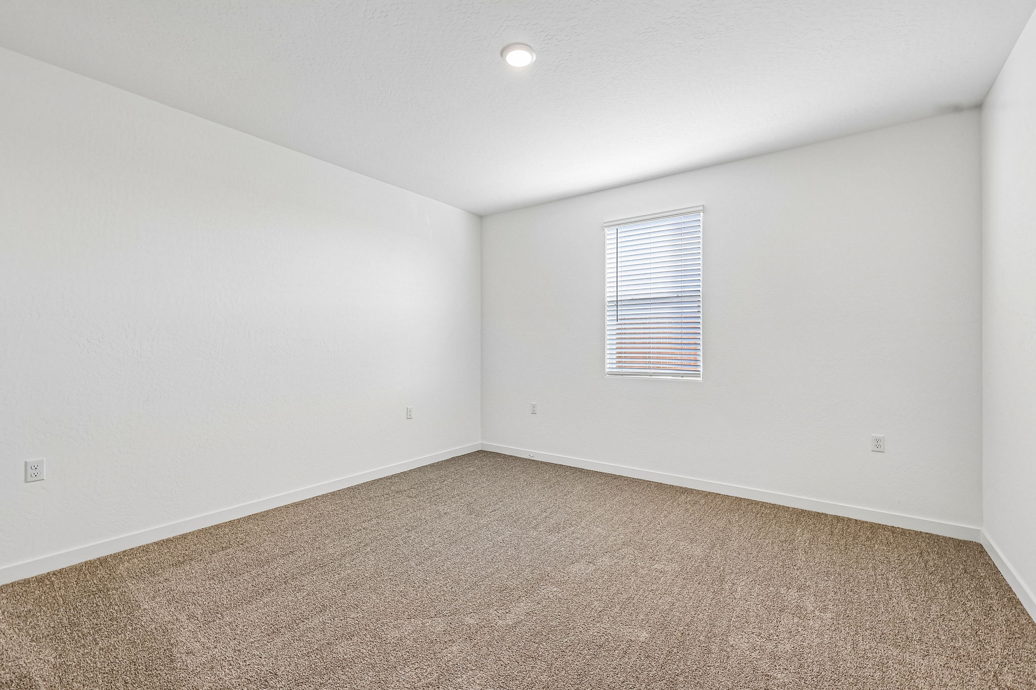 A room with a carpet and a window.