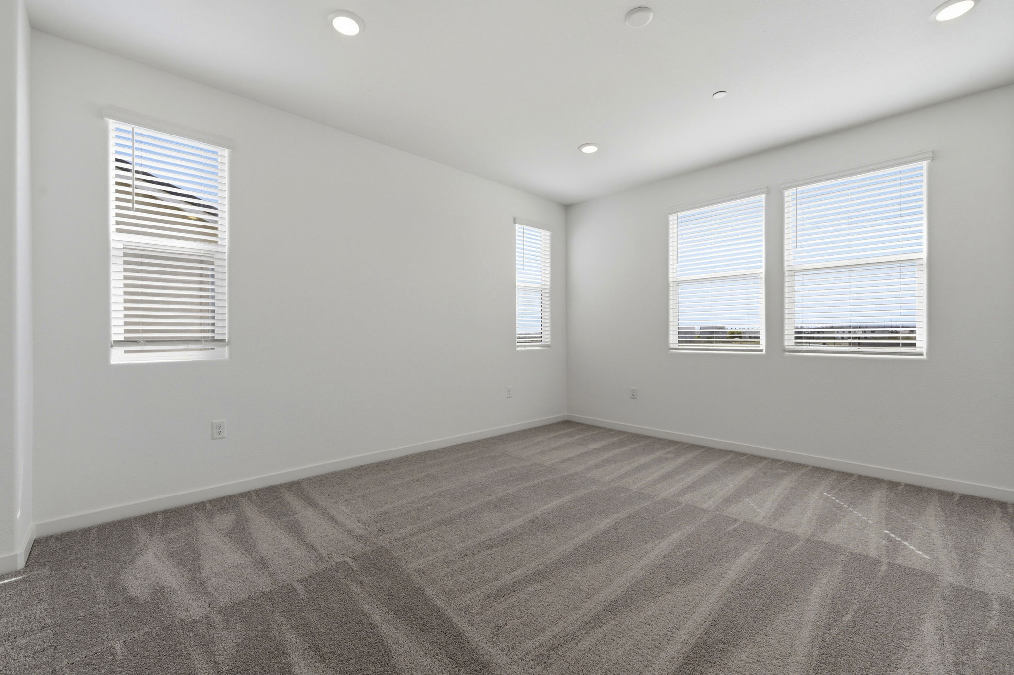 A room with a carpet and windows.