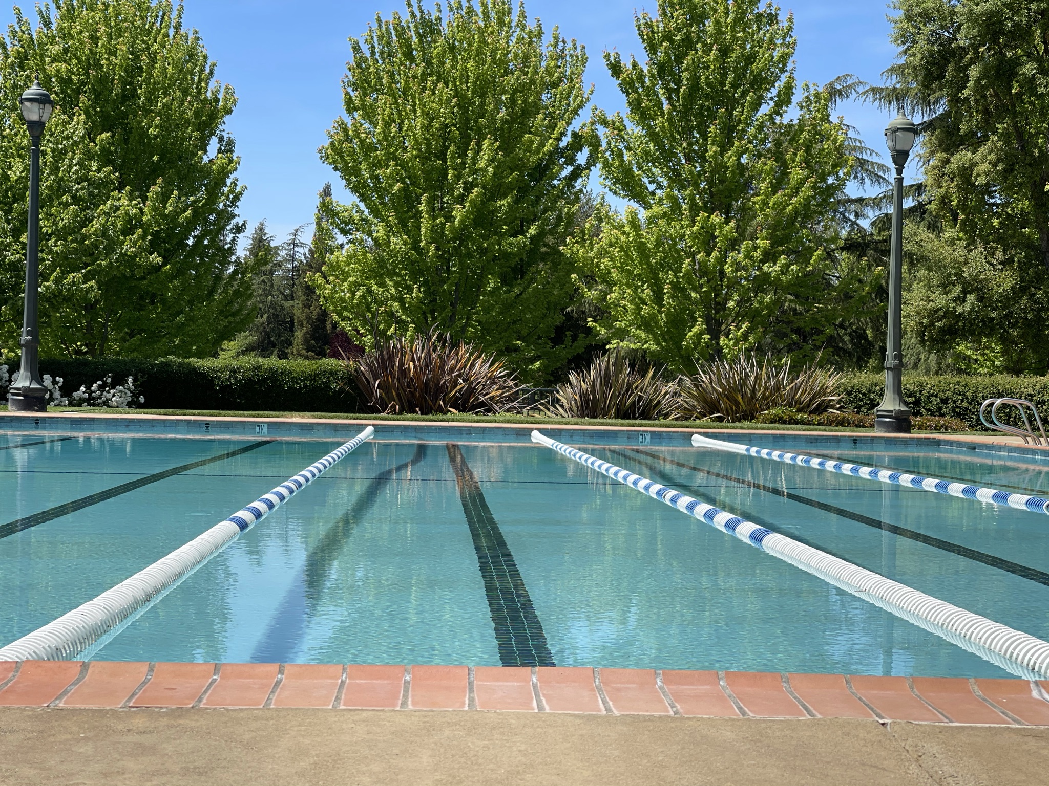A swimming pool with trees around it.