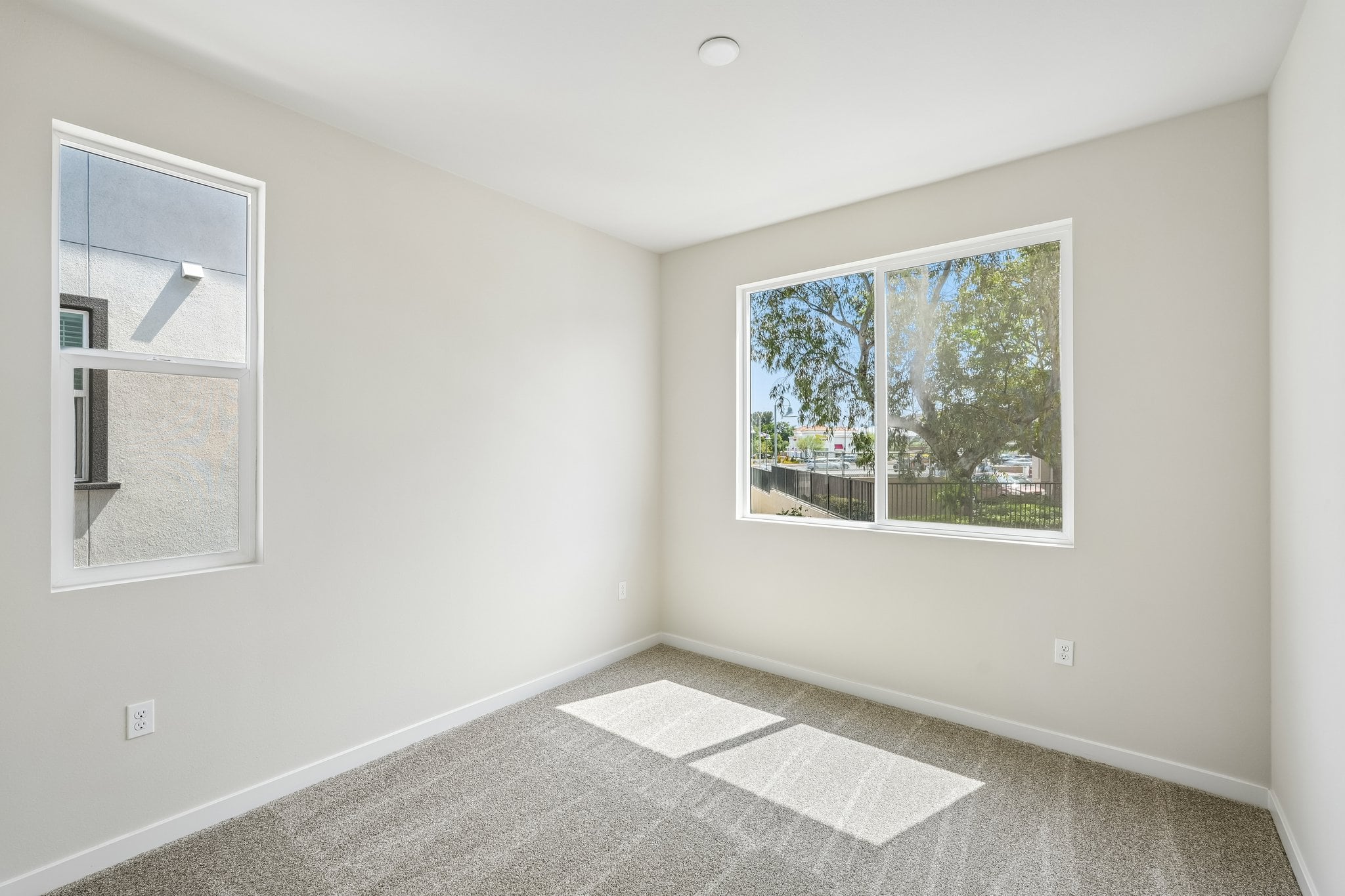 A room with a window and a rug.