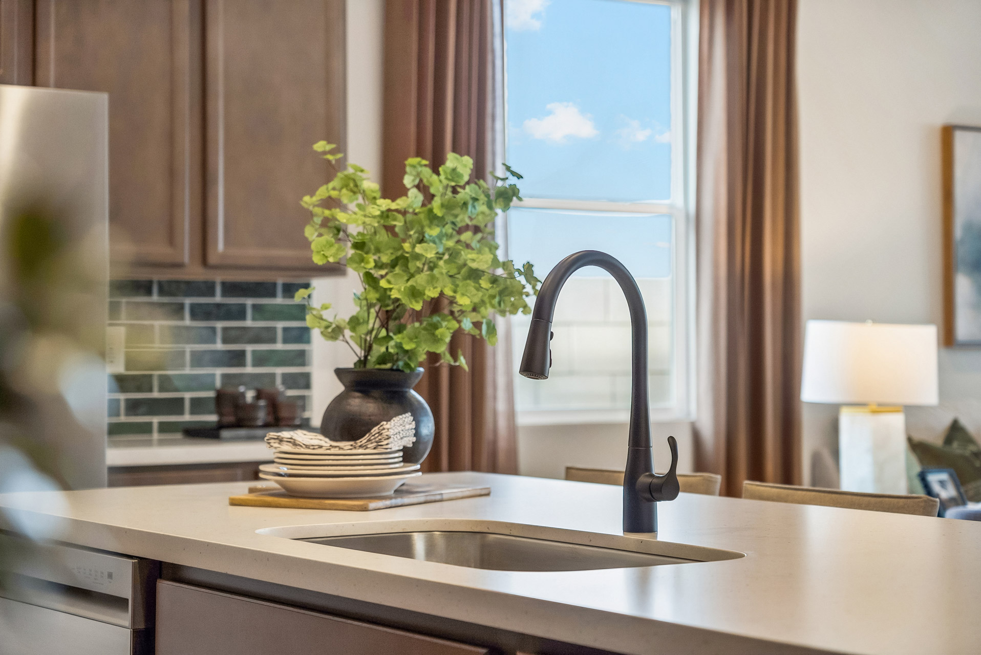 A kitchen with a sink and a plant on the counter.