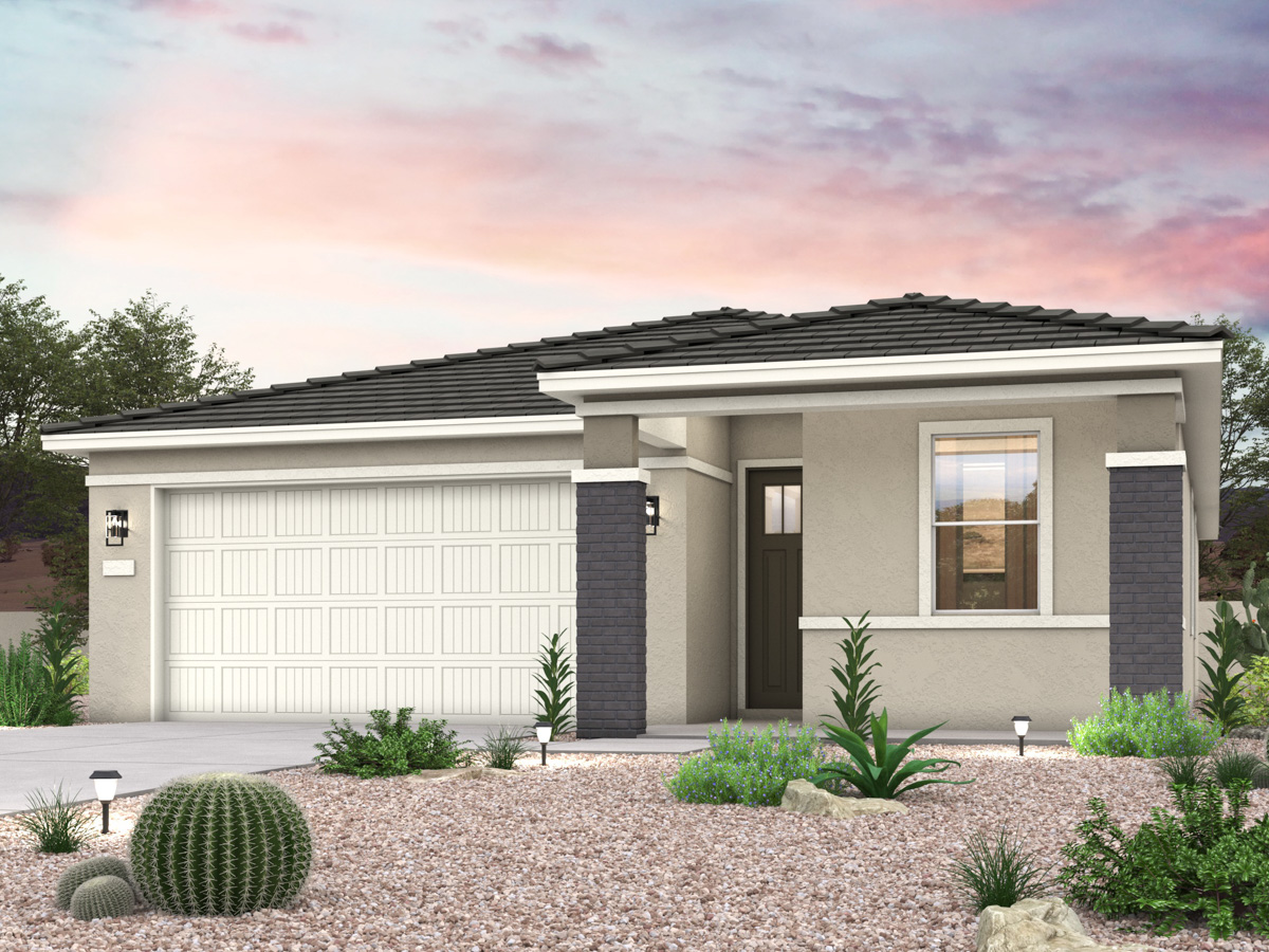 A house with a garage and a cactus in the front.