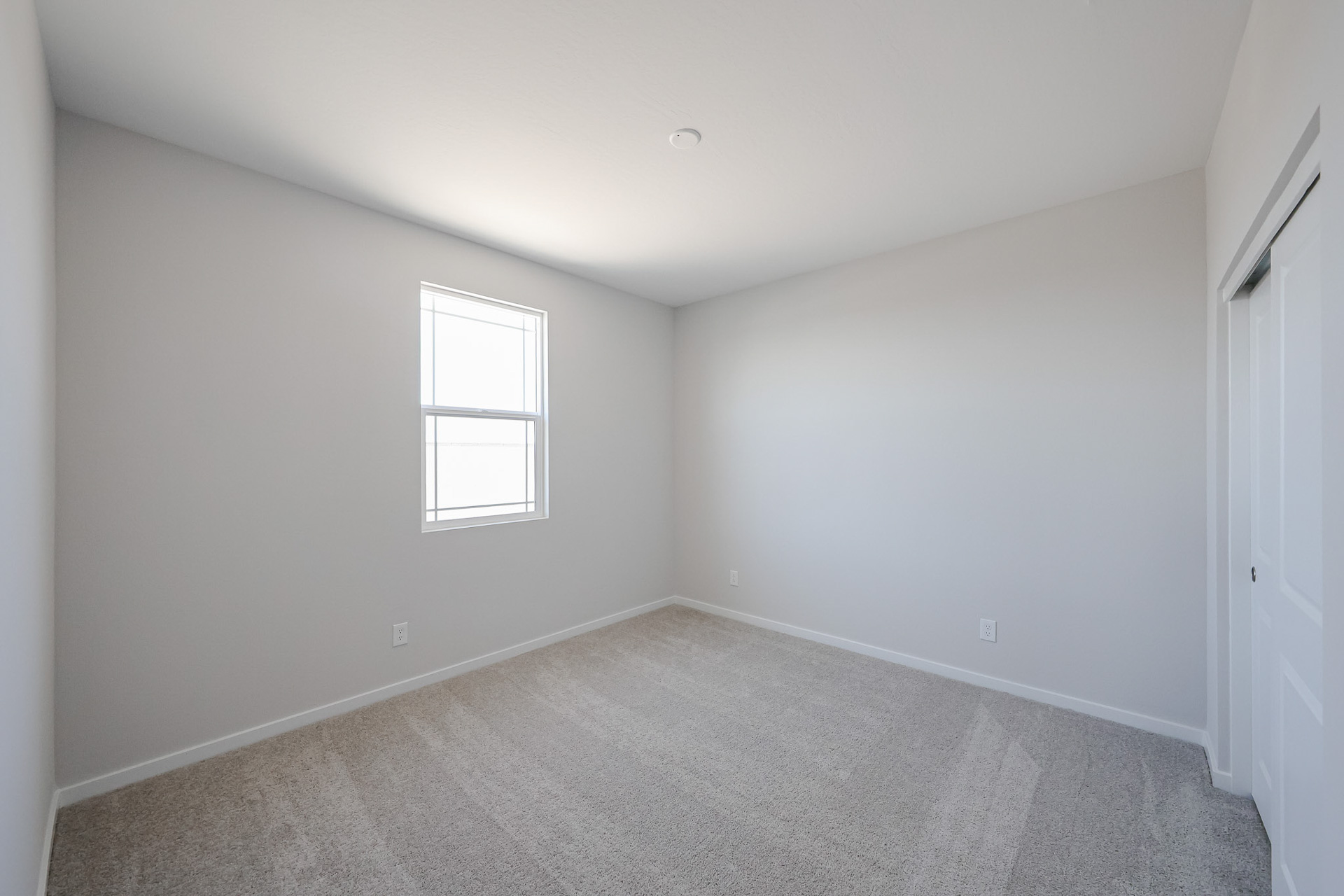 A room with a carpet and windows.
