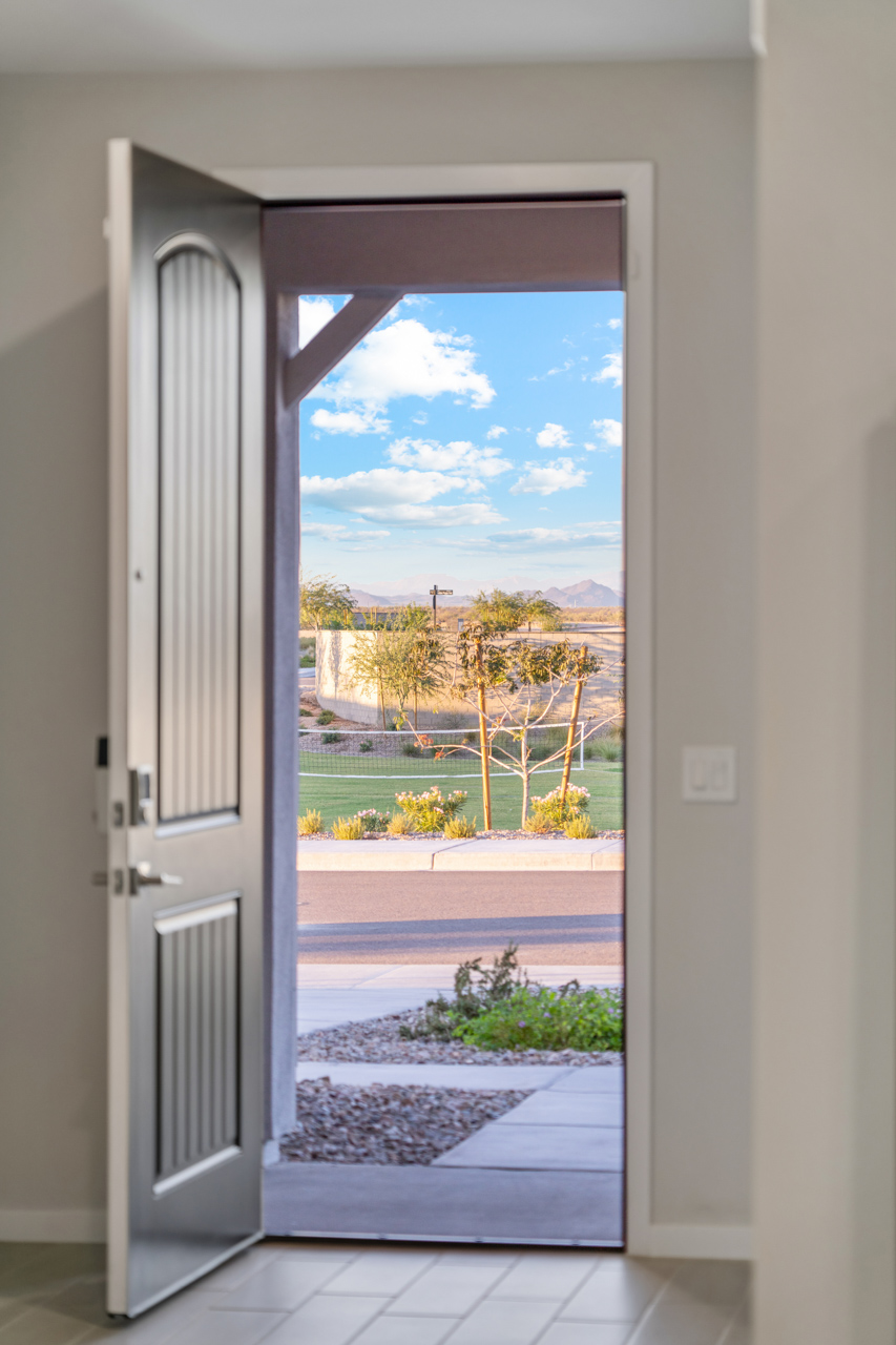 A door with a view of a street and trees.
