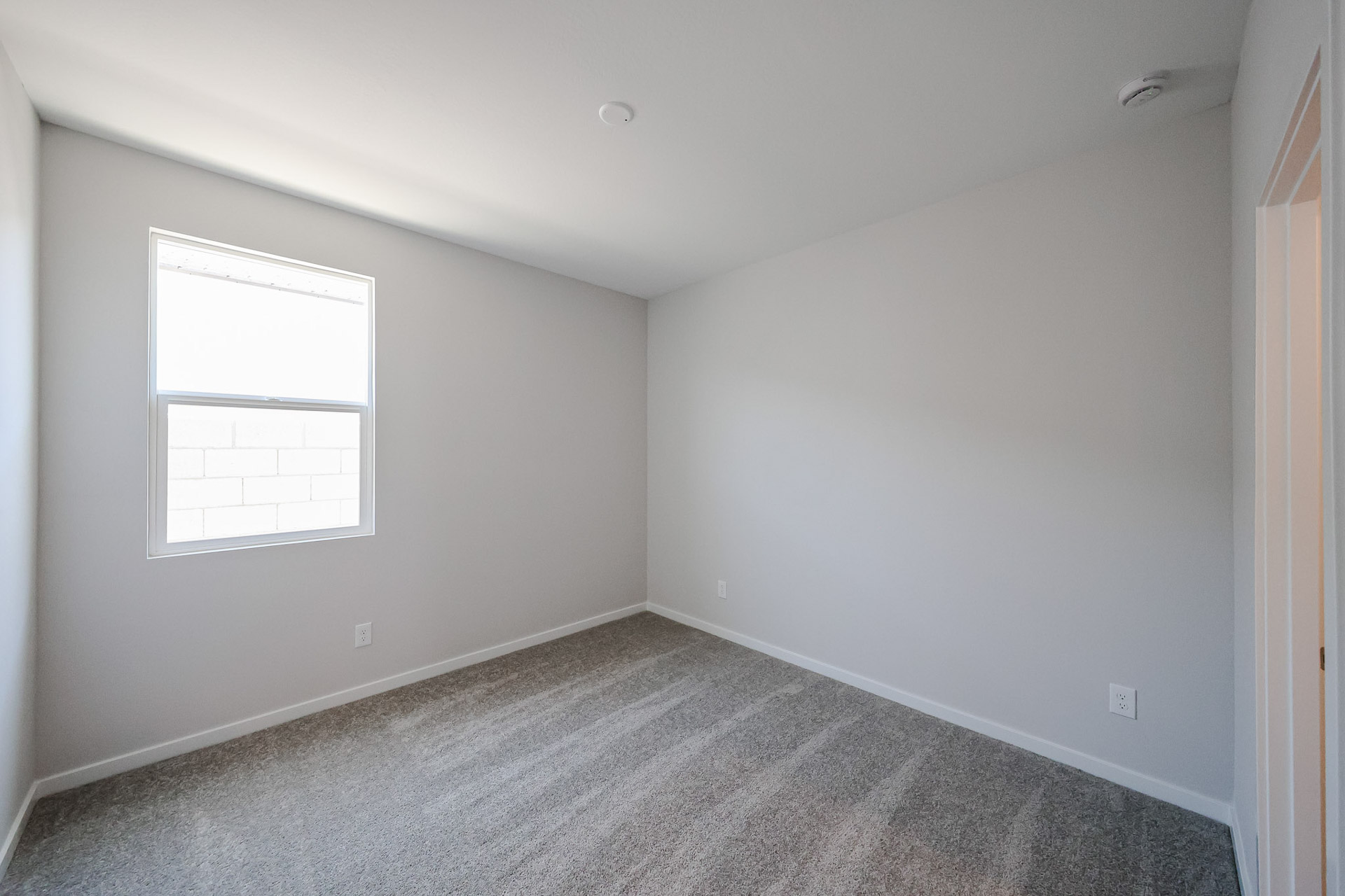 A room with a carpet and windows.