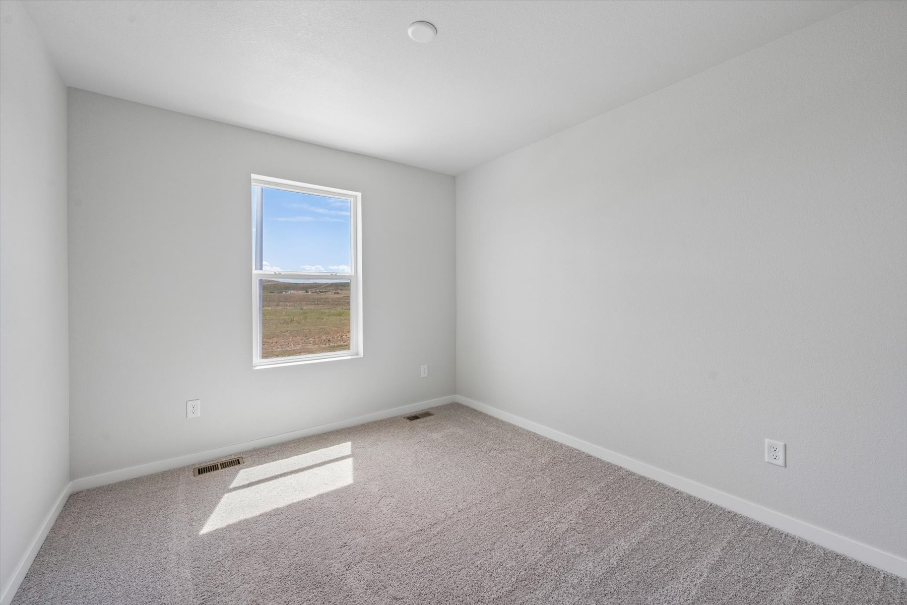 A room with a window and a rug.