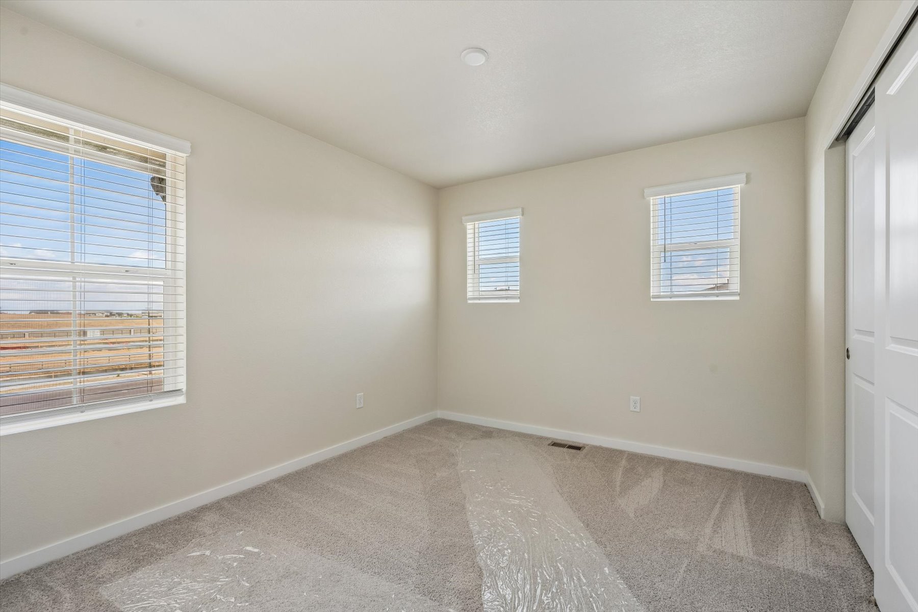 A room with a carpet and windows.