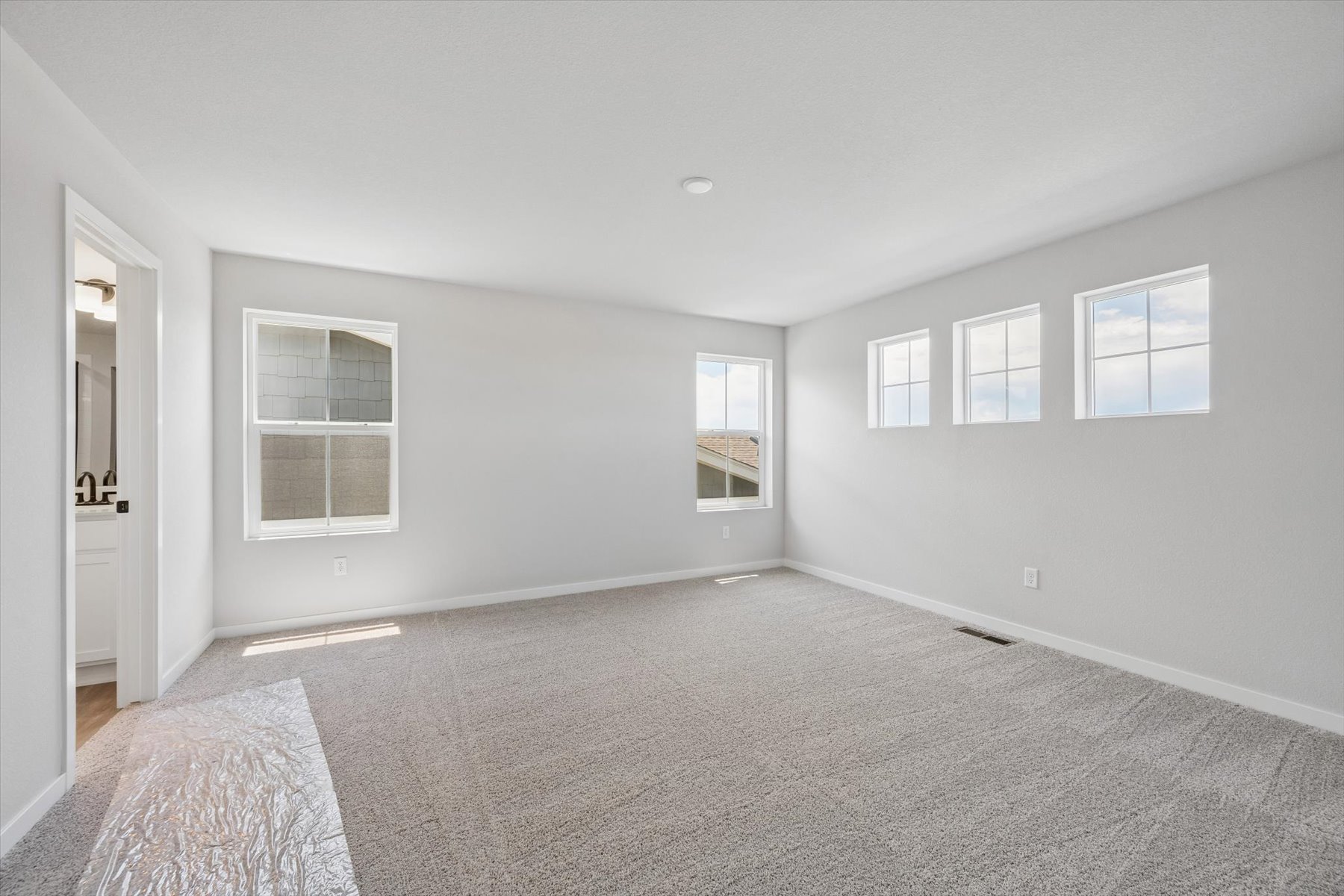 A room with a carpet and windows.