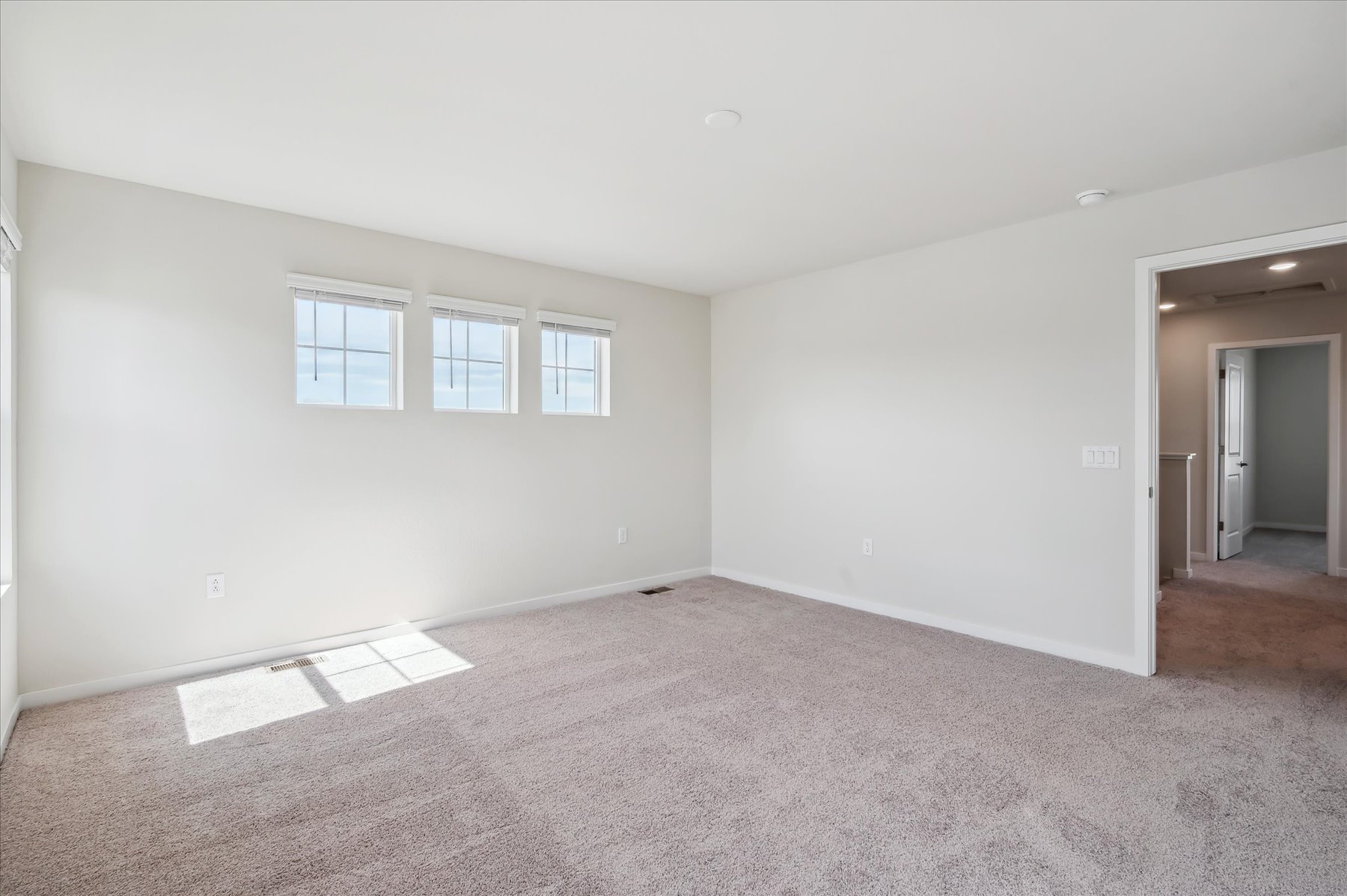 A room with a carpet and a door.