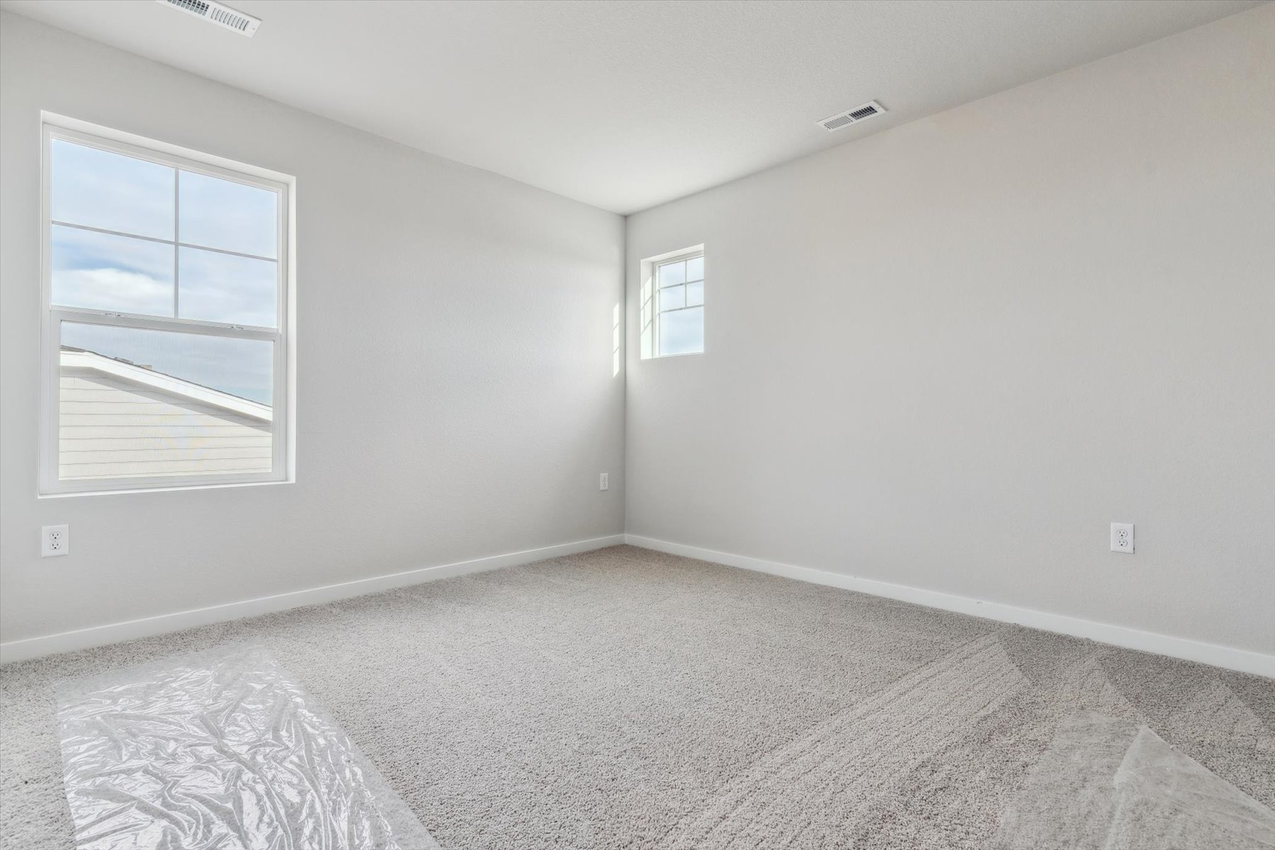 A room with a carpet and windows.