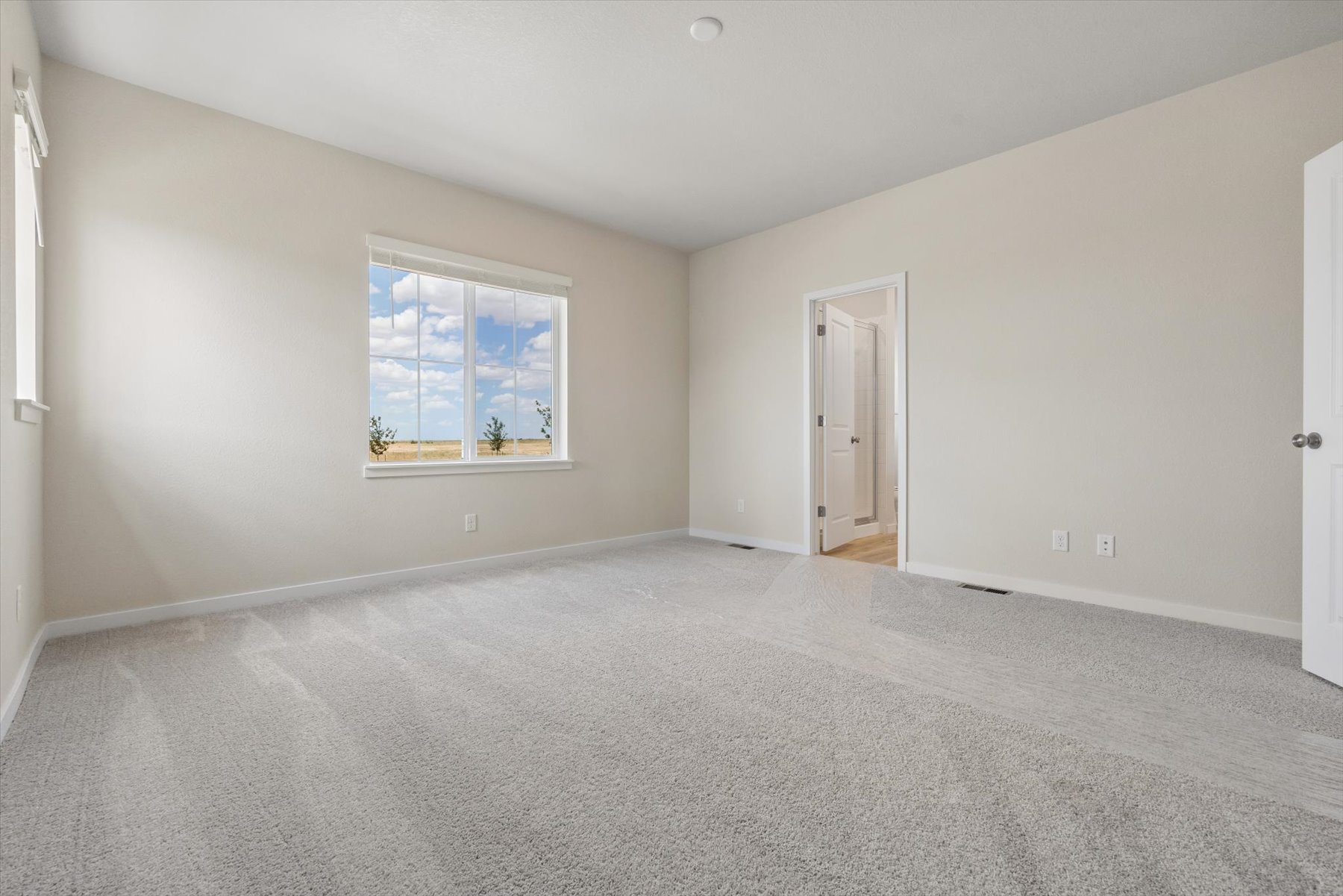 A room with a carpet and a window.