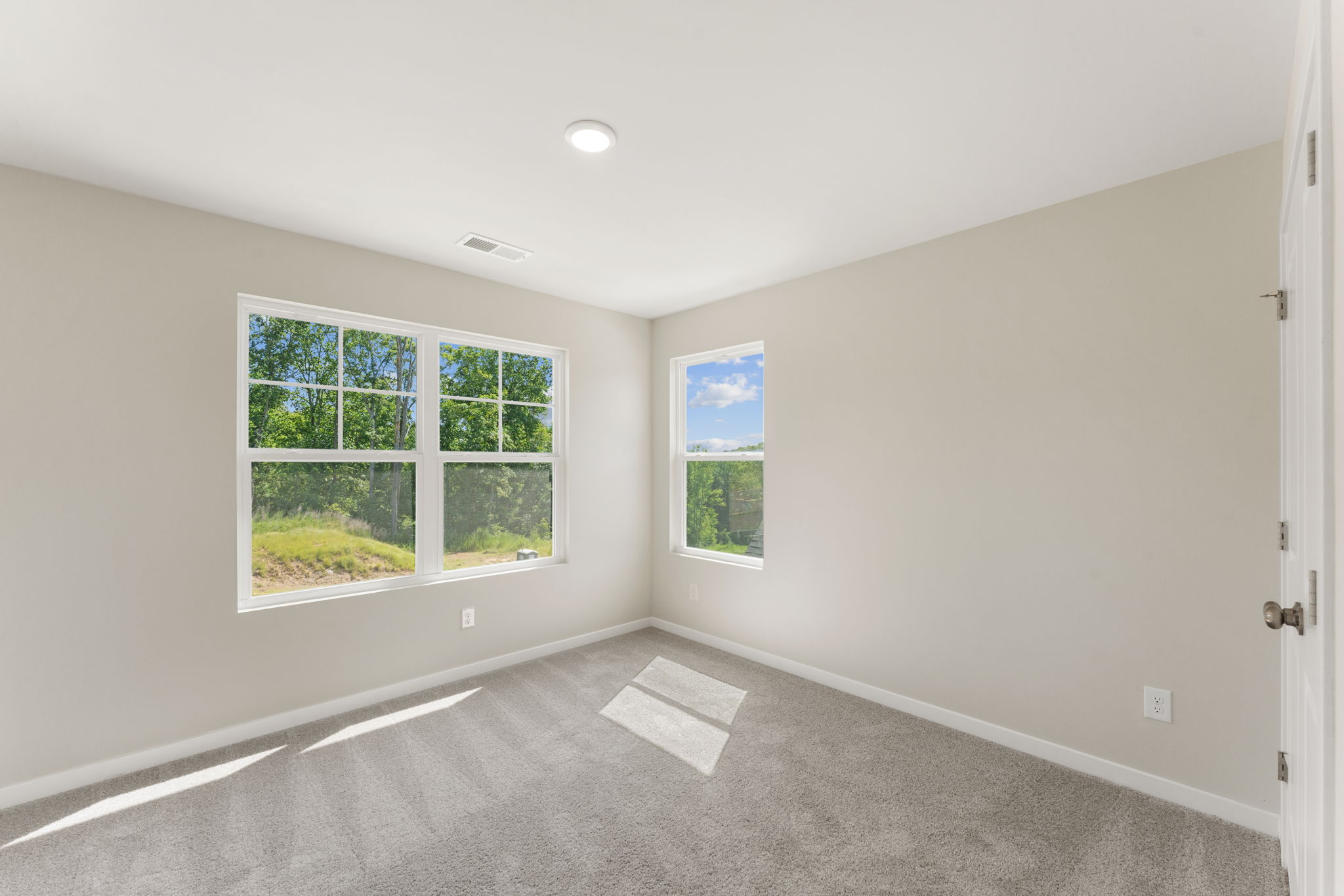 A room with windows and a rug.