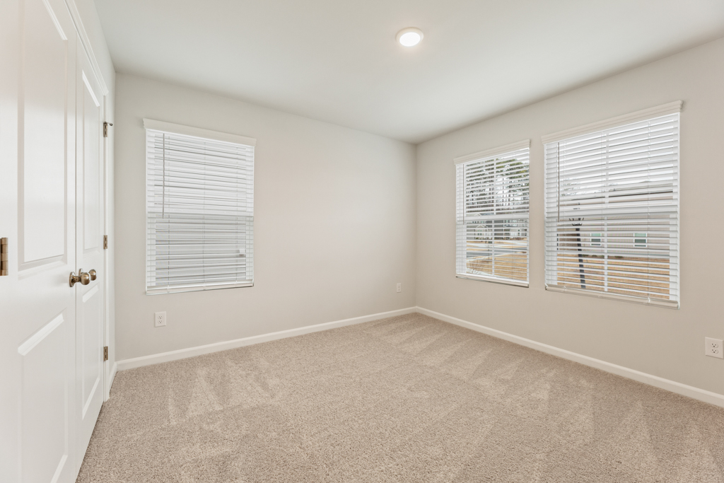 A room with white walls and a carpet.