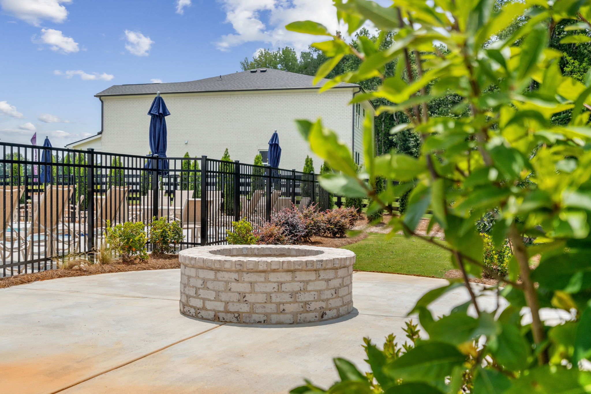 A small garden in a backyard.