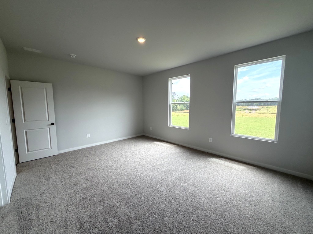 A room with a carpet and windows.