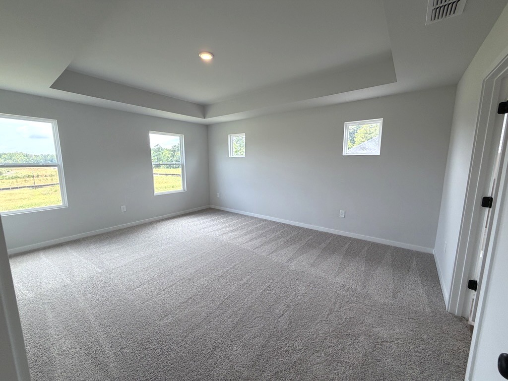 A room with a carpet and windows.