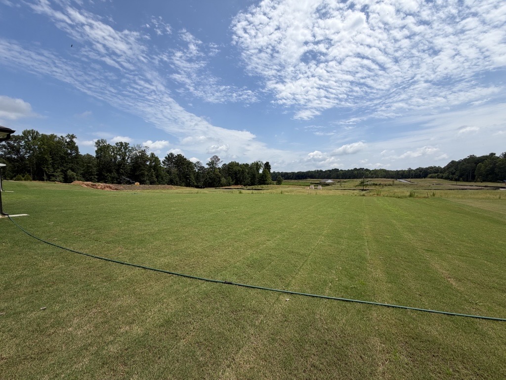 A large grassy field with trees in the background.