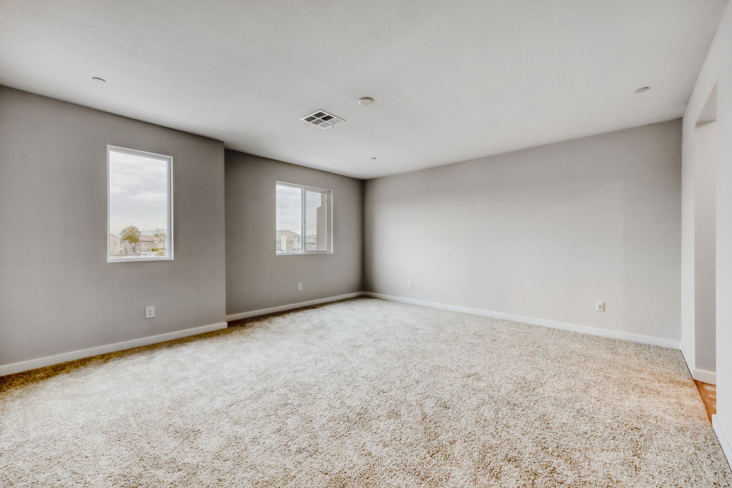 A room with a carpet and a rug.