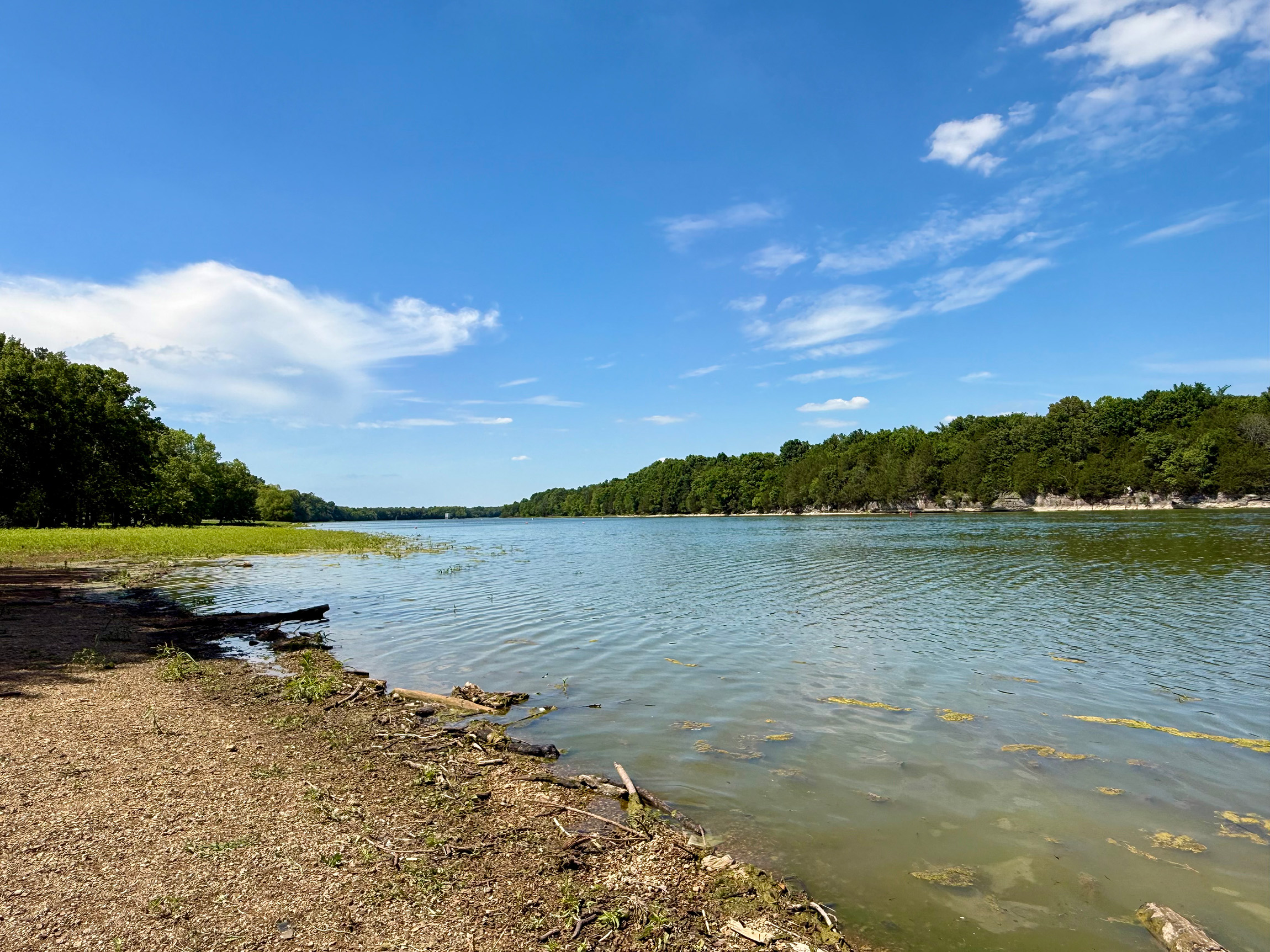 A body of water with trees around it.