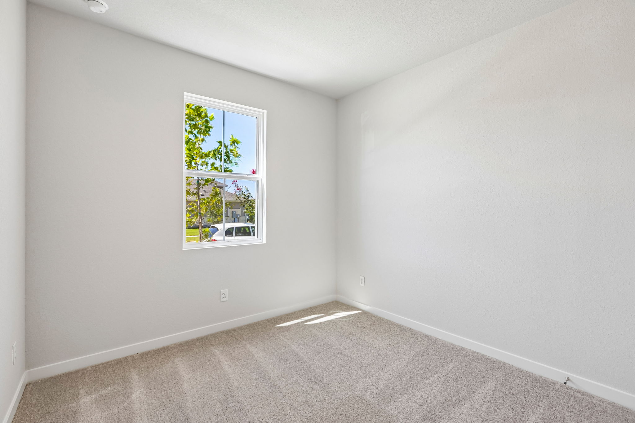 A room with a window and a rug.