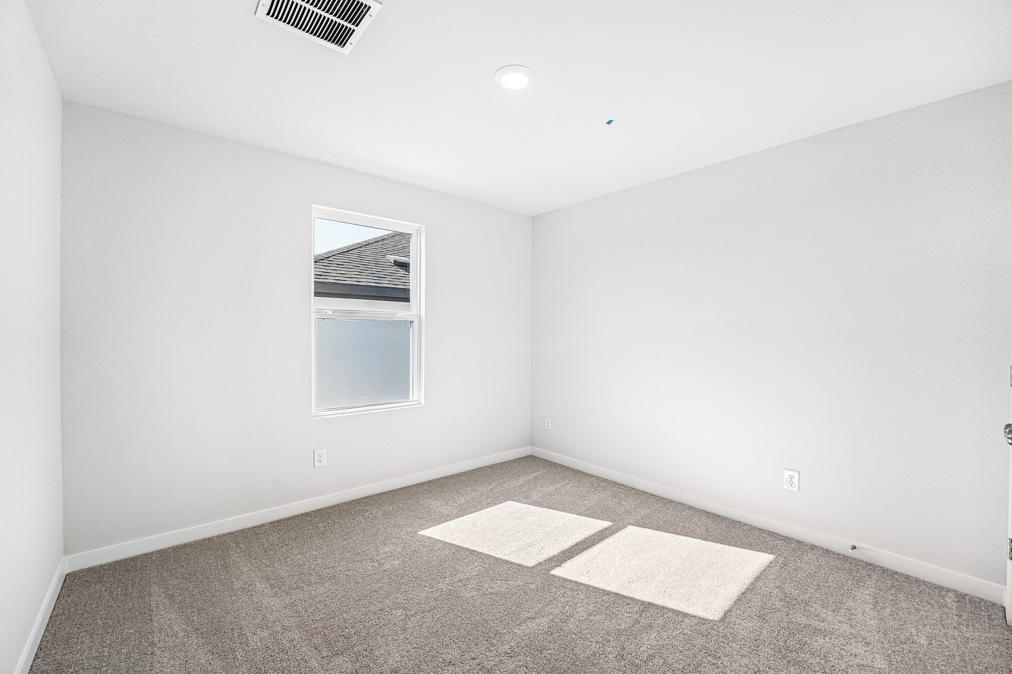 A room with a rug and a window.