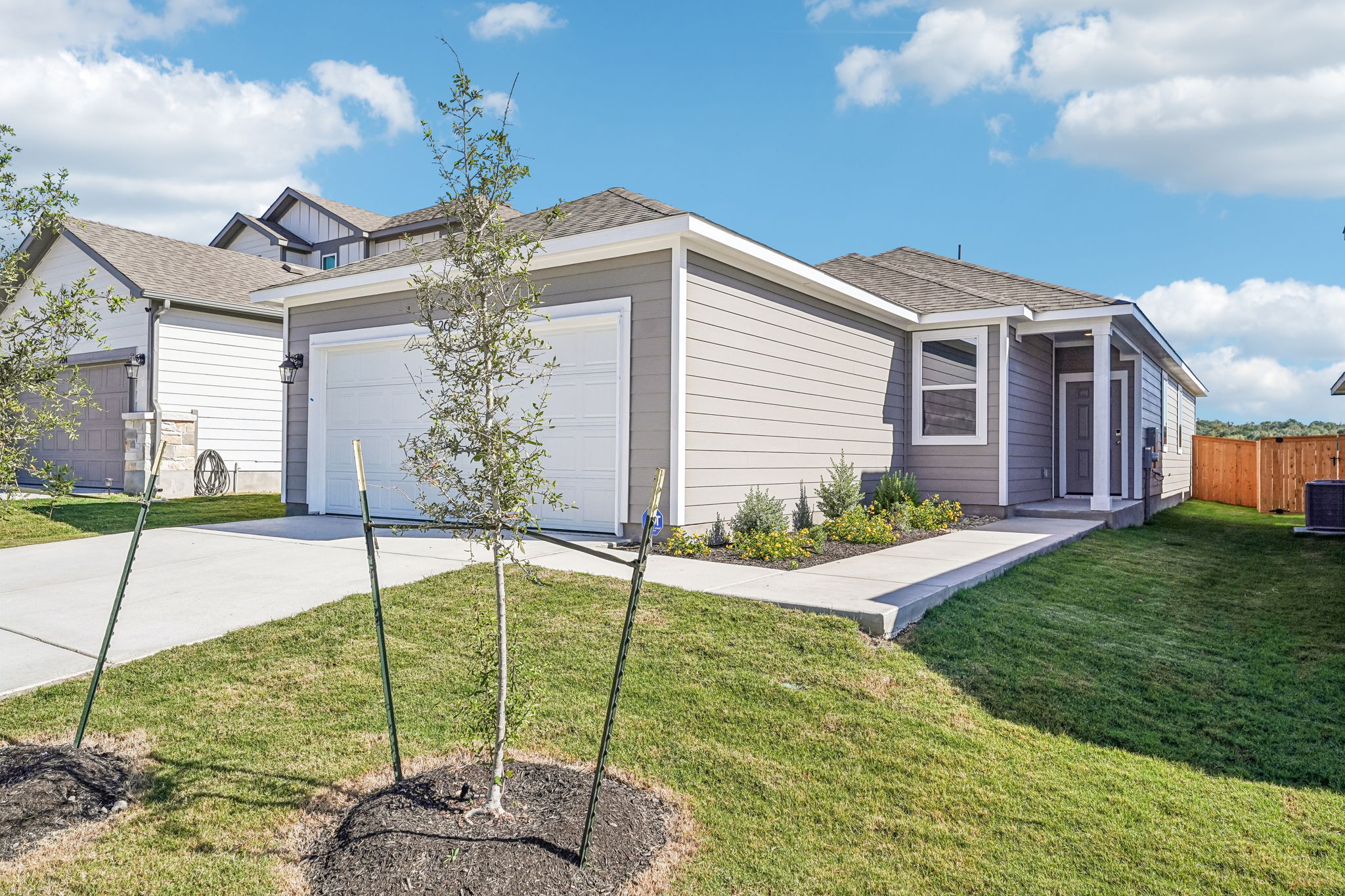 A backyard with a tree and a house in the background.
