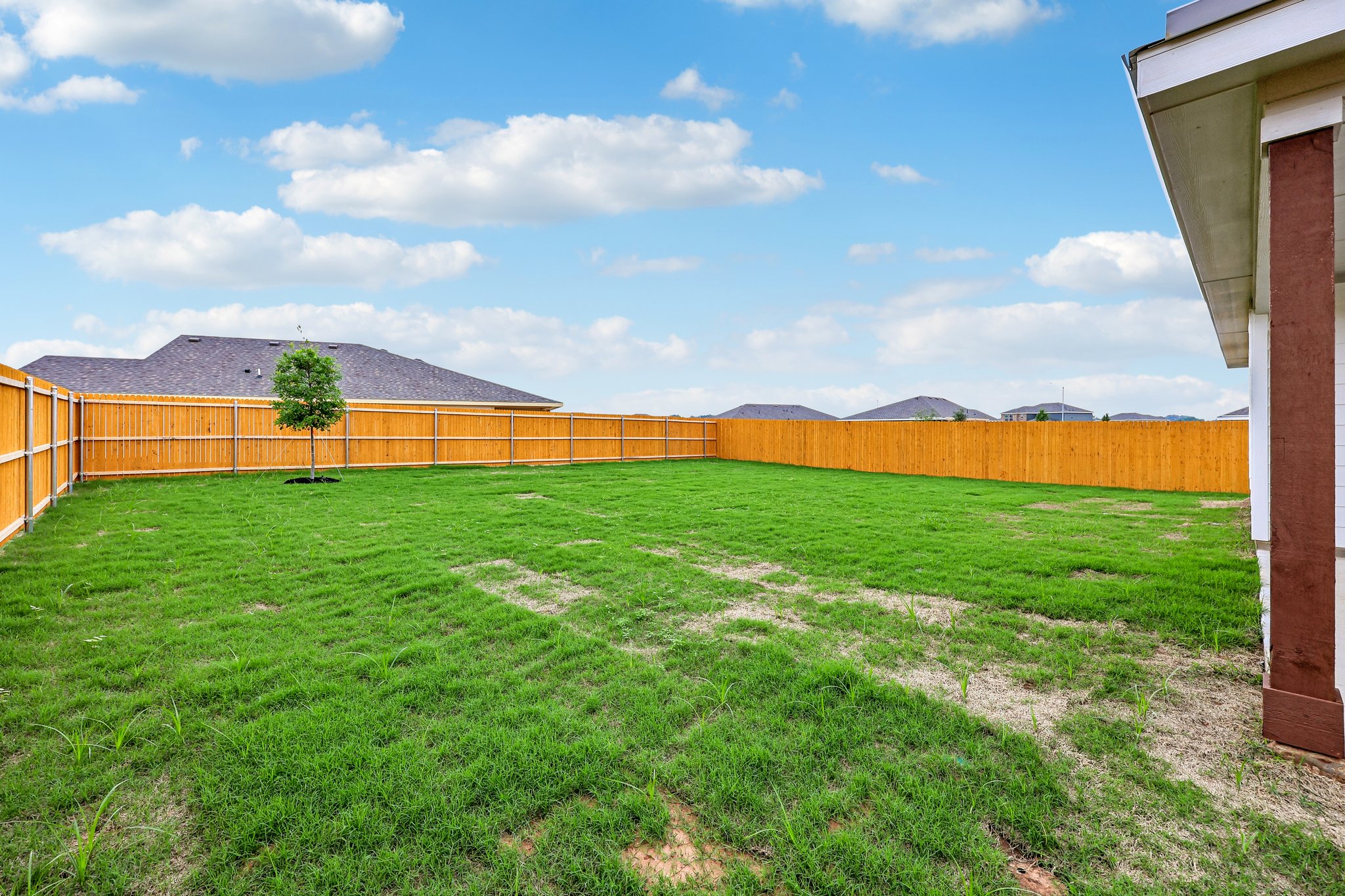 A large green field.