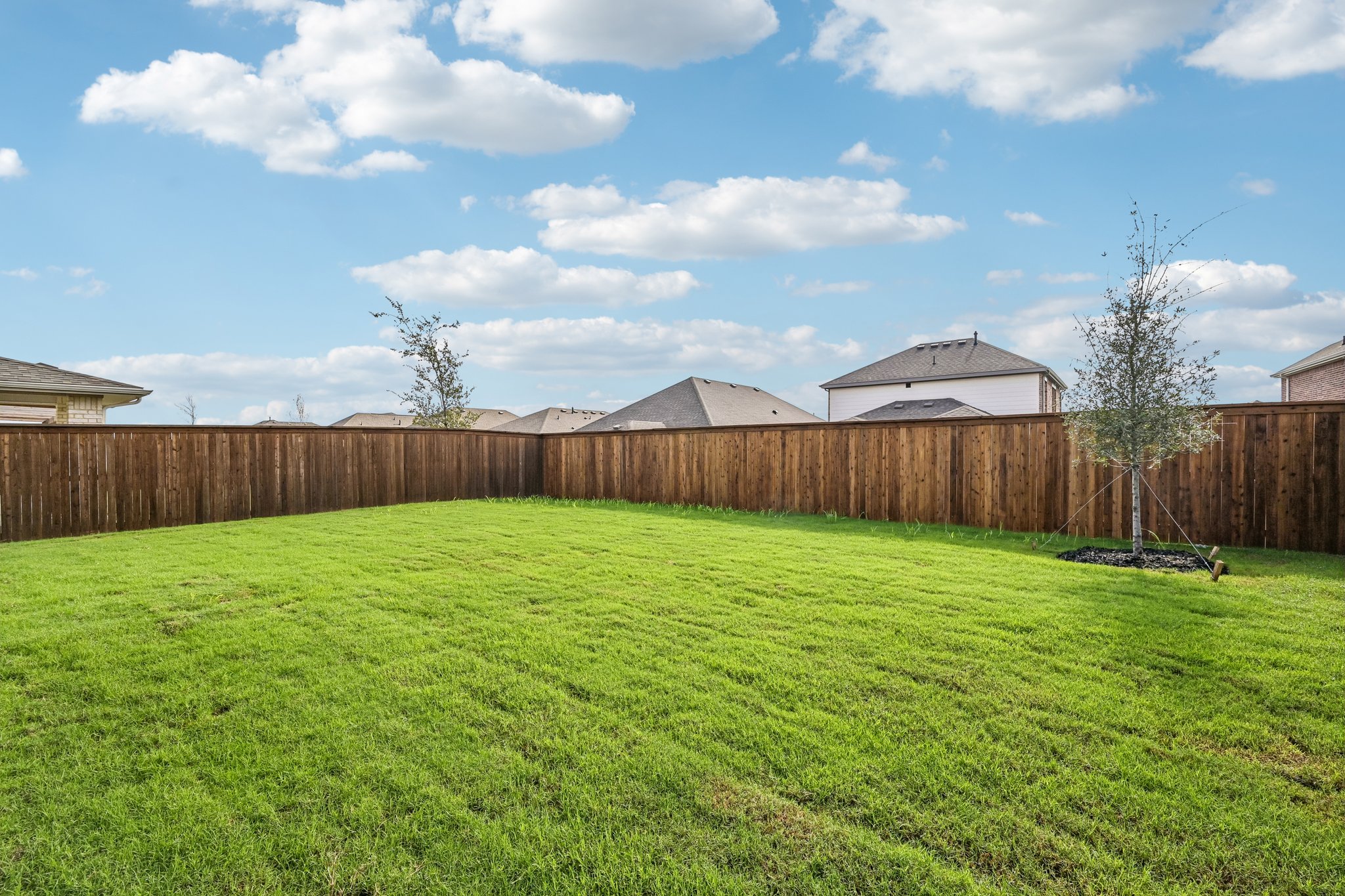 A fenced in yard with a tree and a house in the background.