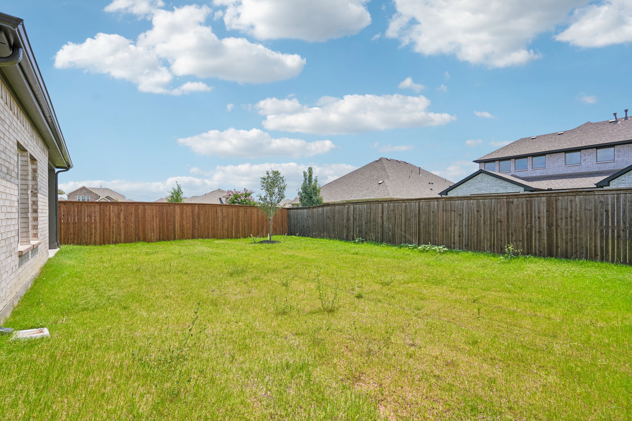 A grassy yard with houses in the background.
