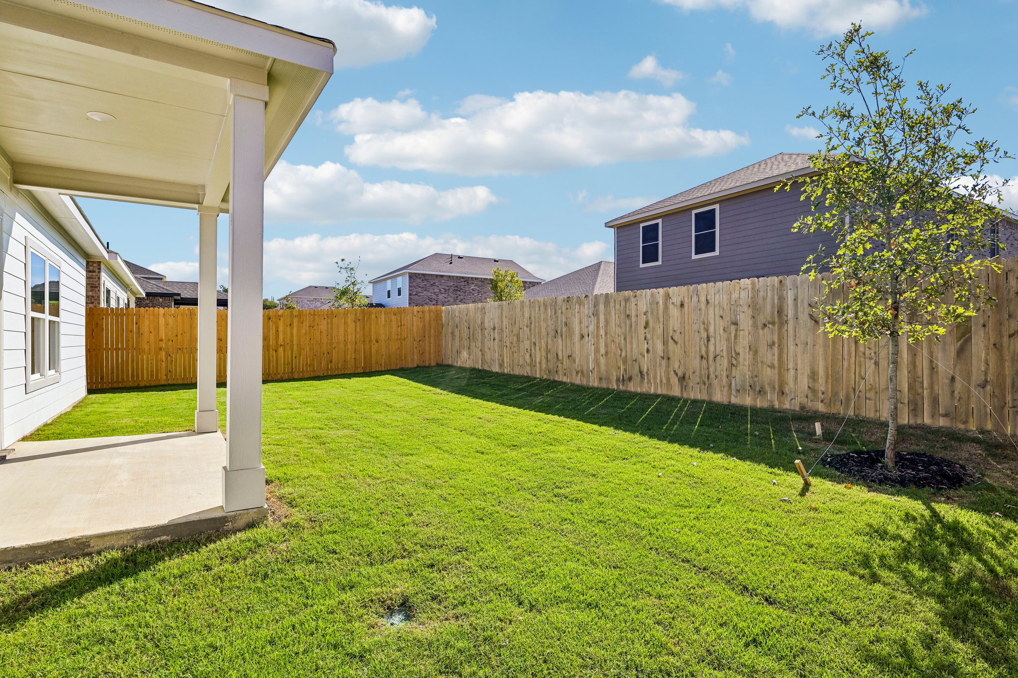 A yard with a fence and a tree.