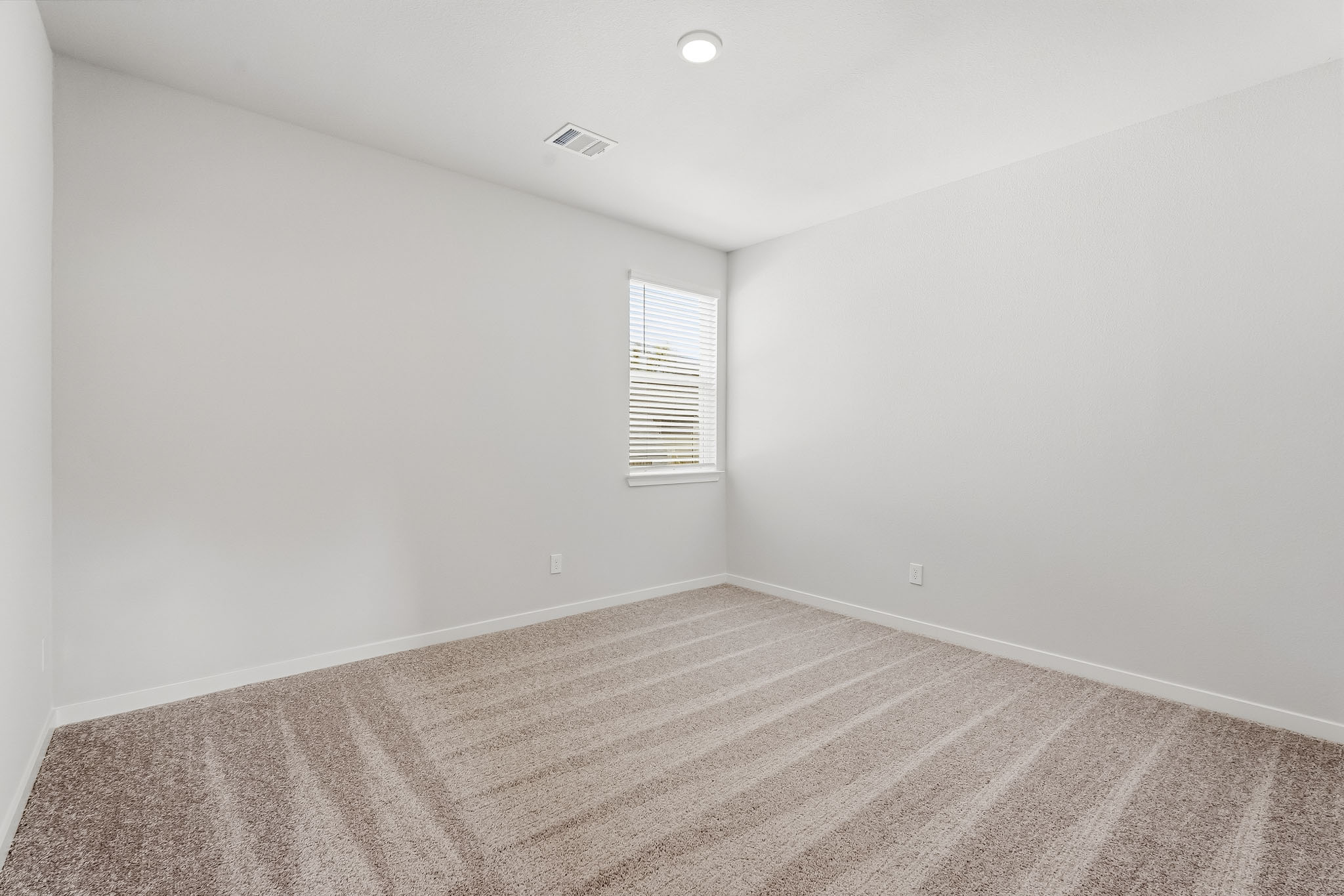 A room with a carpet and a window.