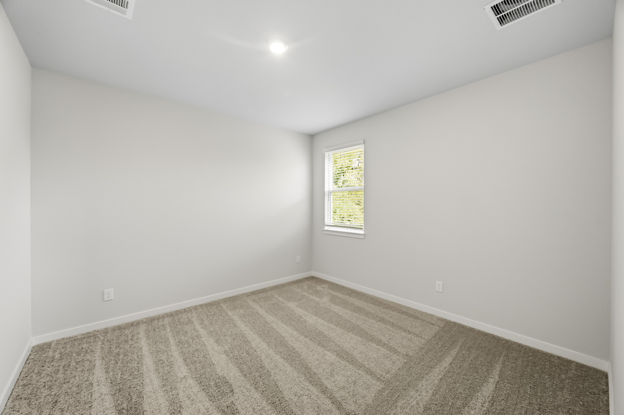 A room with a carpet and a window.