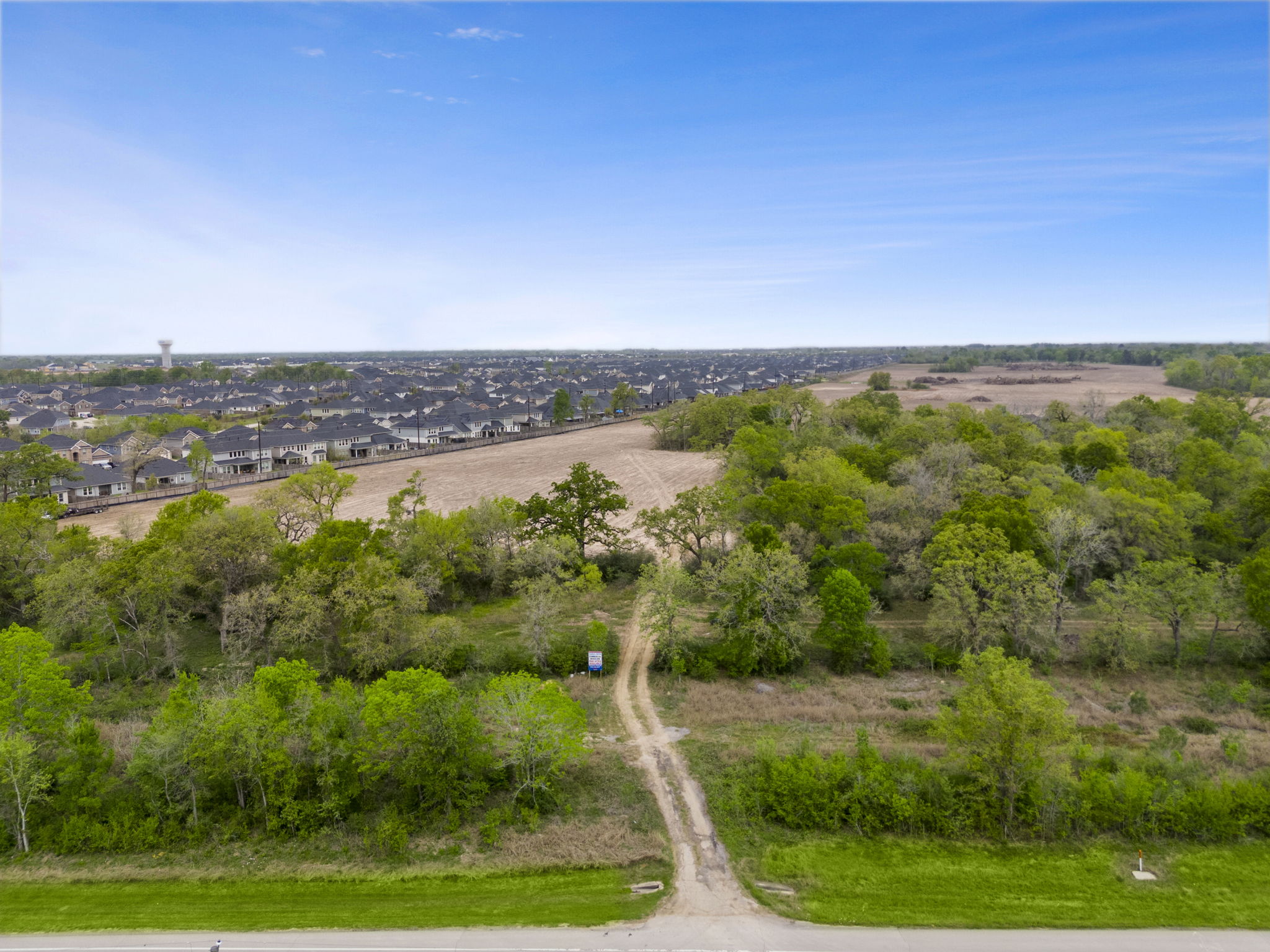 A landscape with trees and grass.