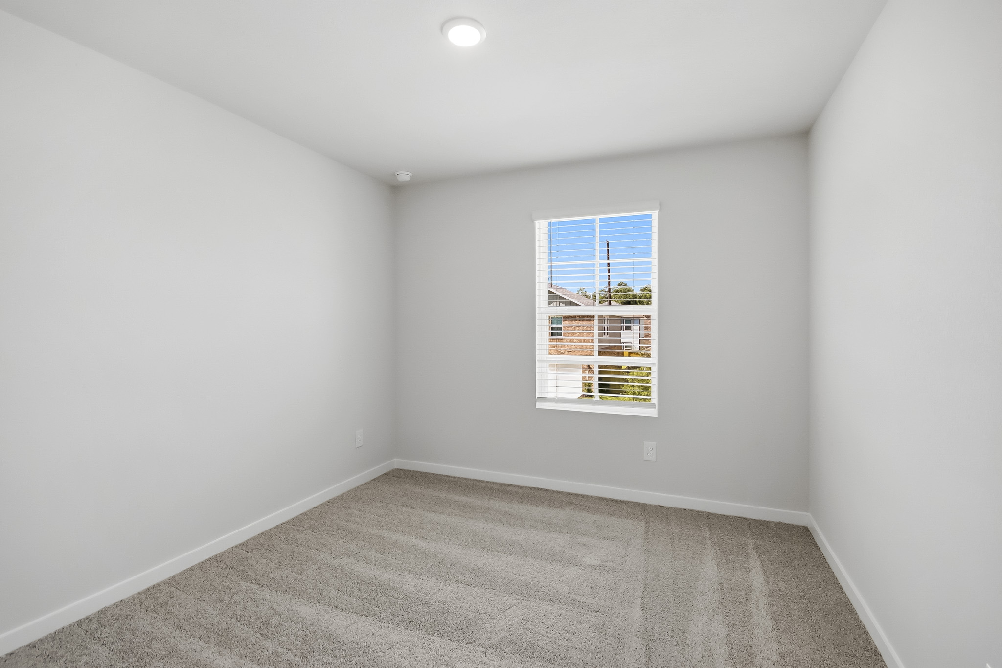 A room with a window and a rug.