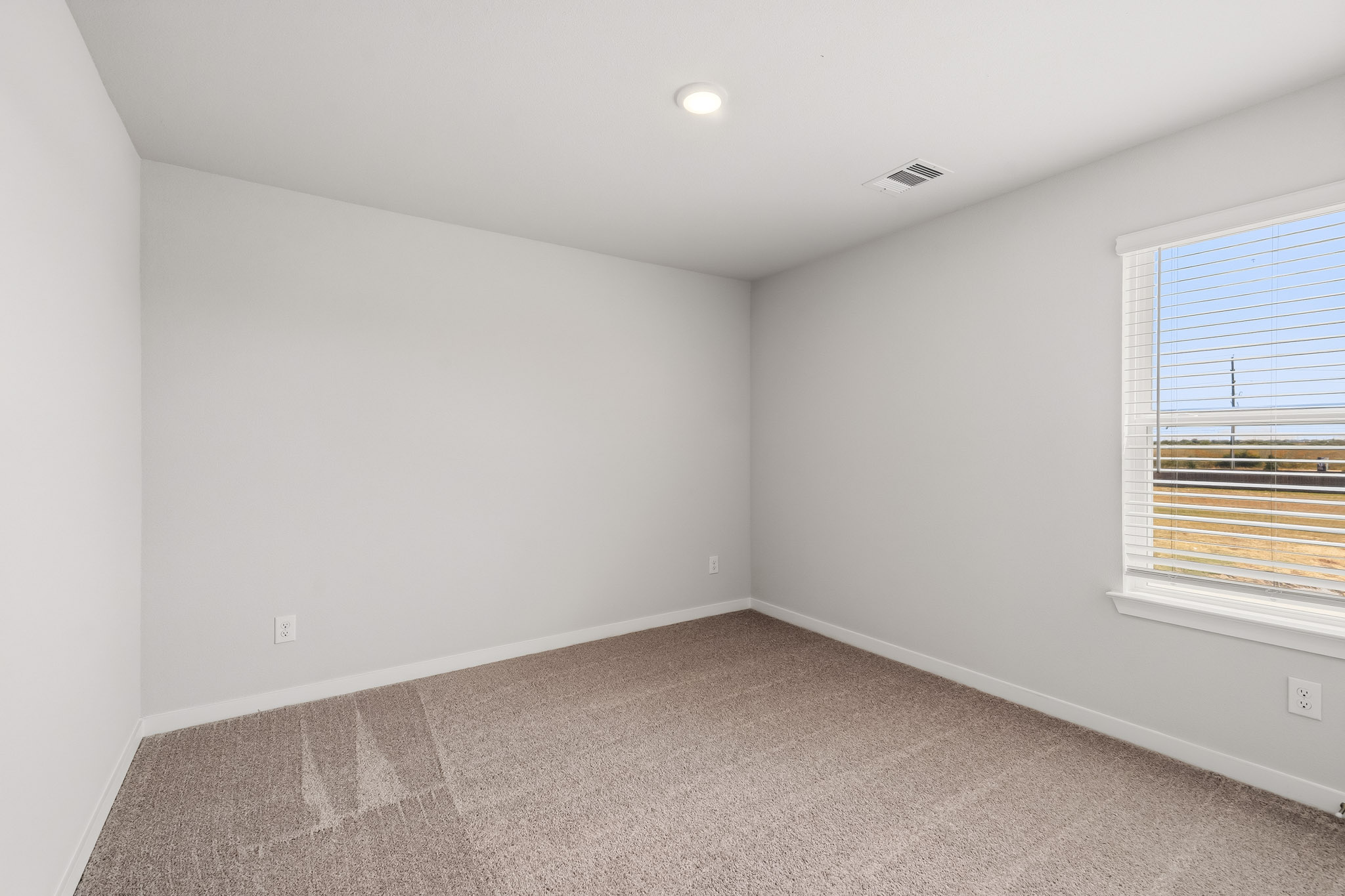 A room with a carpet and windows.