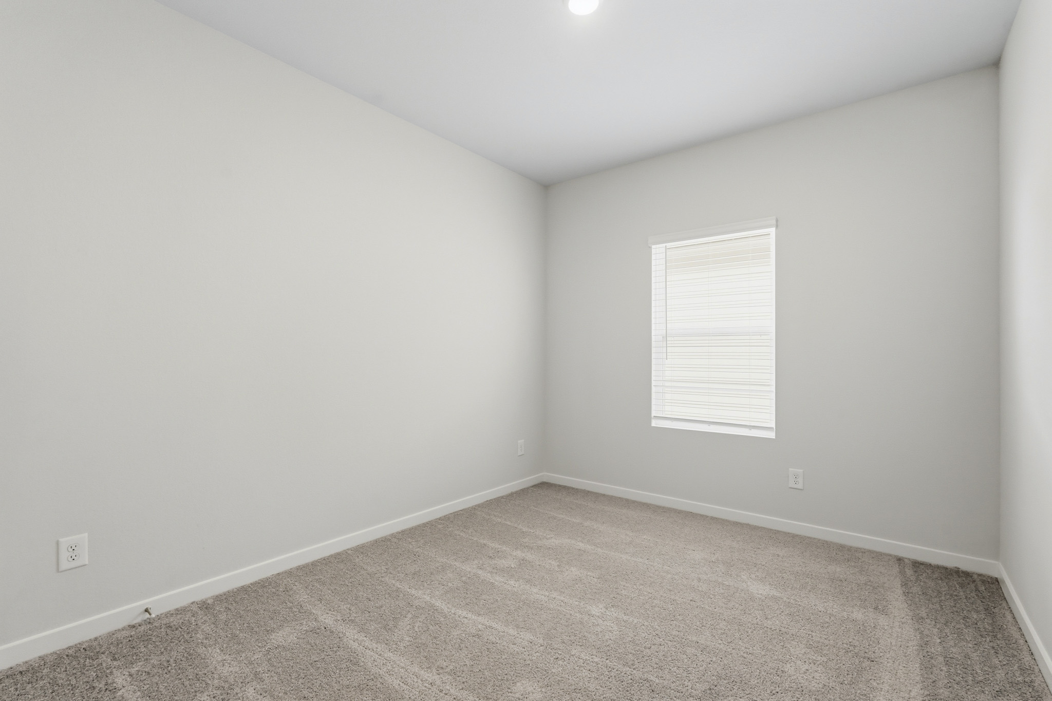 A room with a carpet and a white wall.