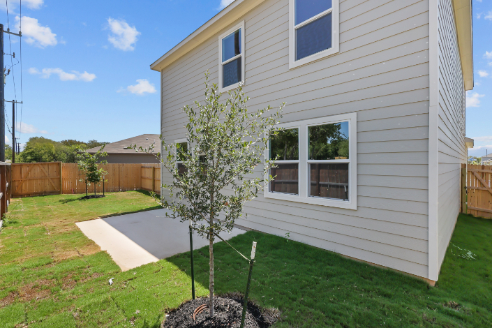 A tree in a yard.