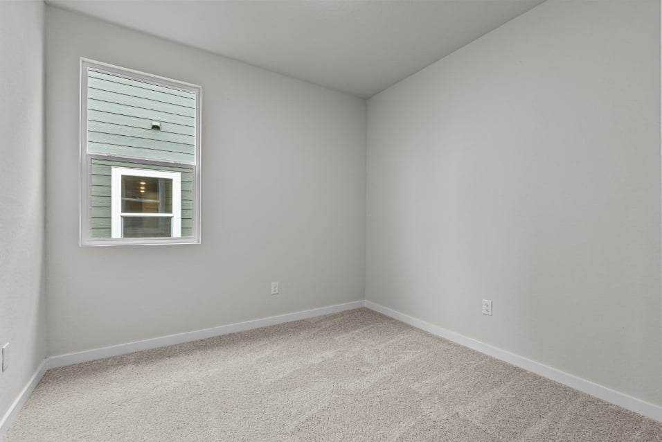 A room with a carpet and windows.