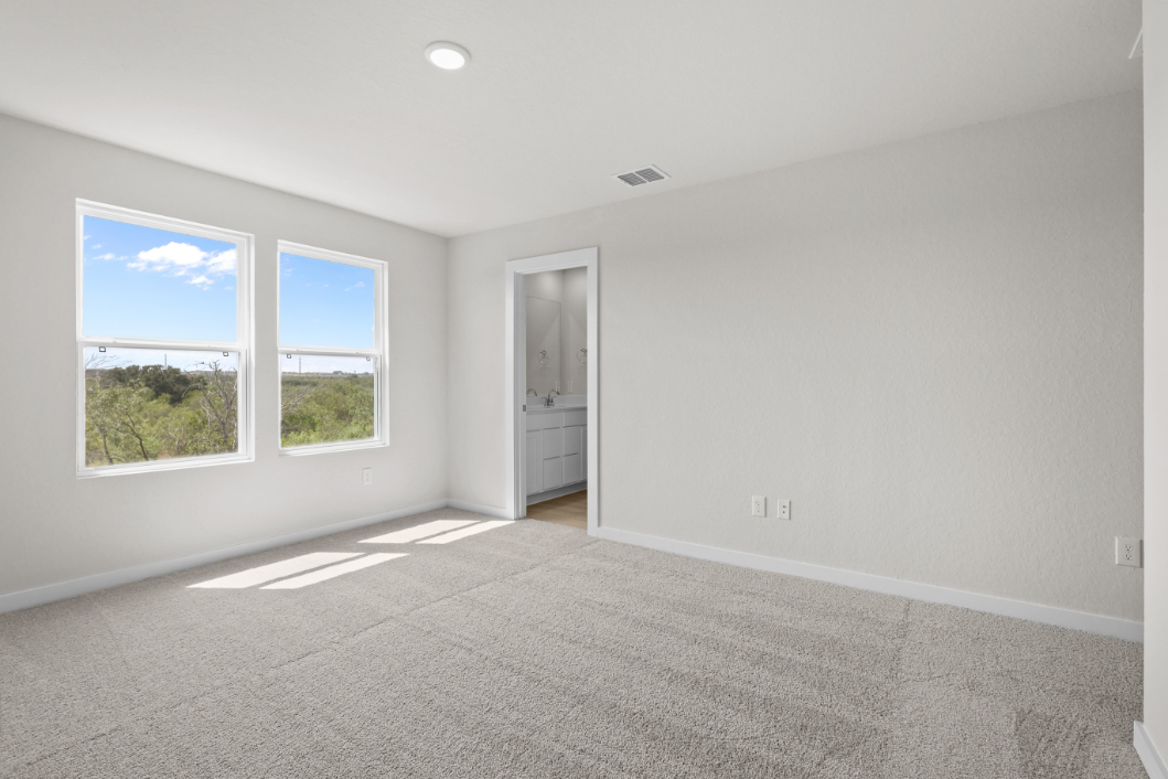 A room with a carpet and windows.