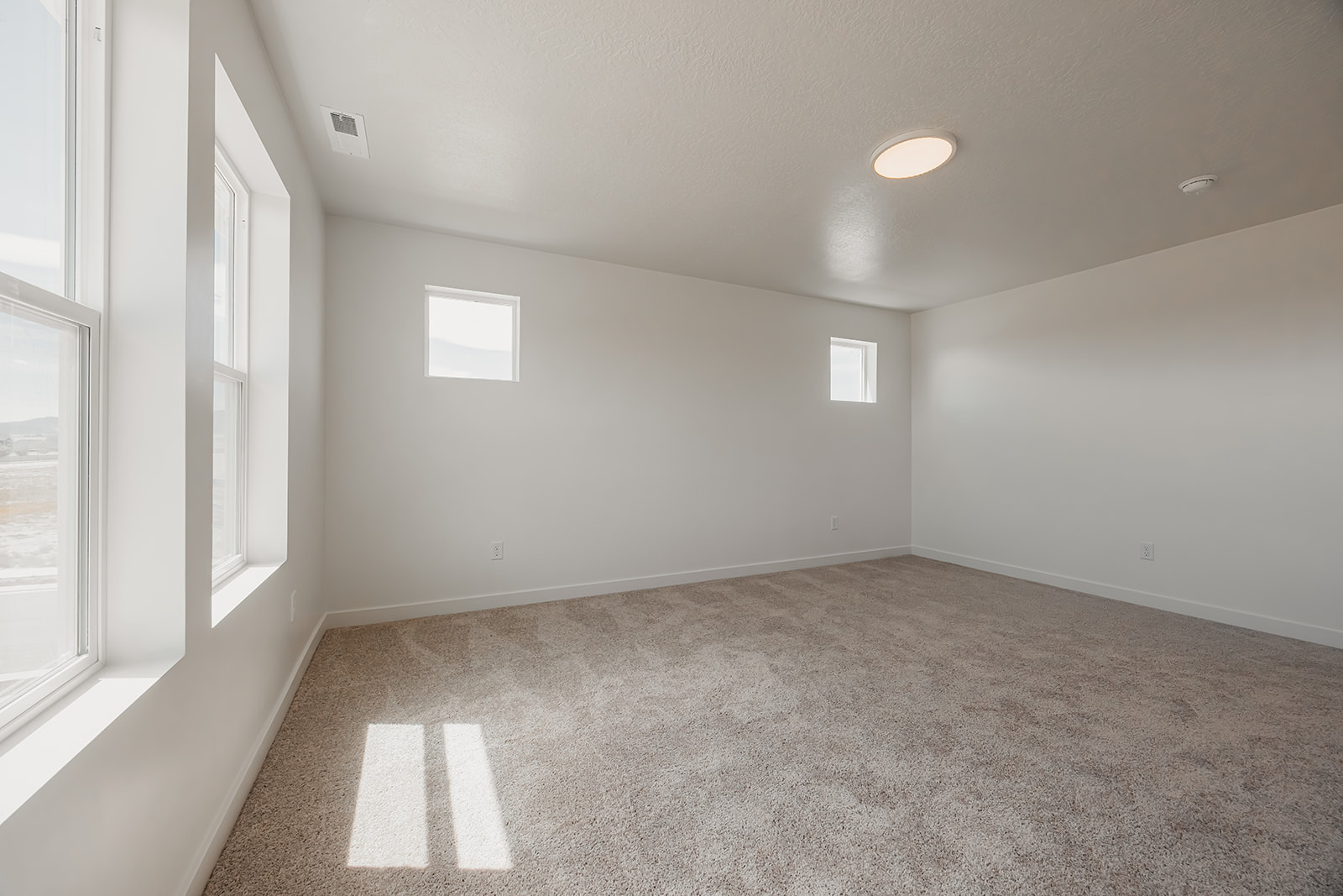 A room with a carpet and windows.
