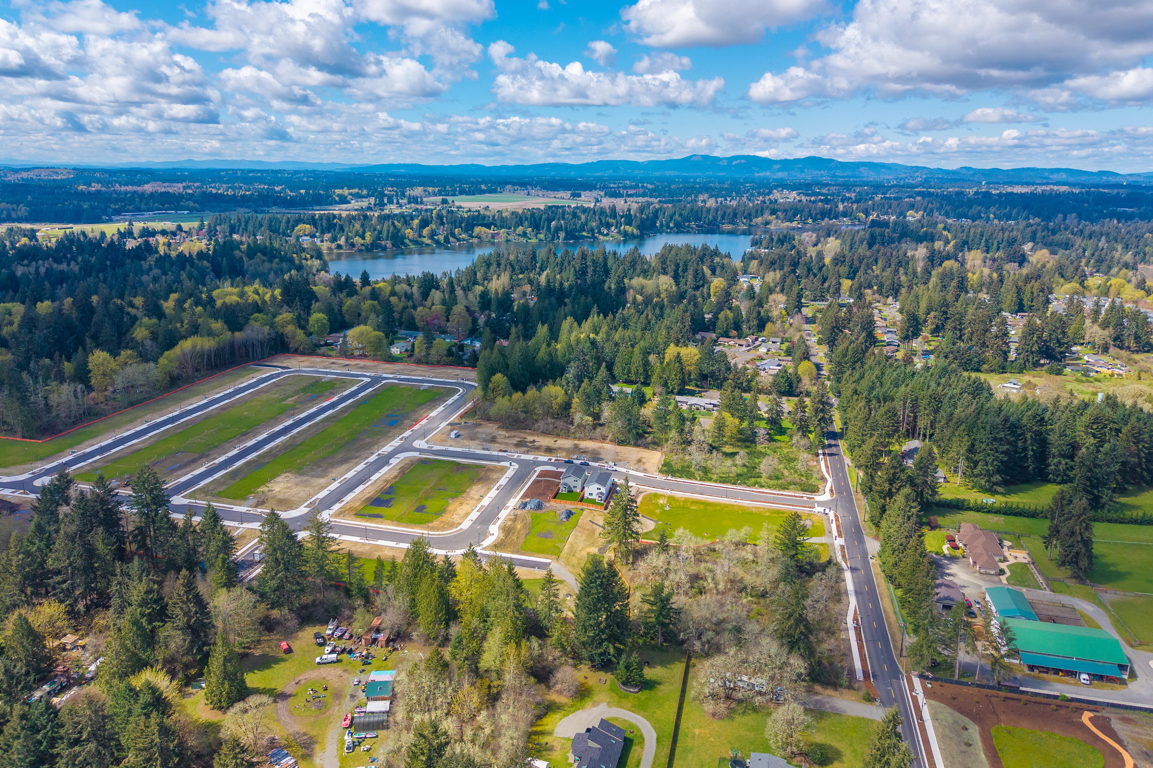 A landscape with trees and roads.
