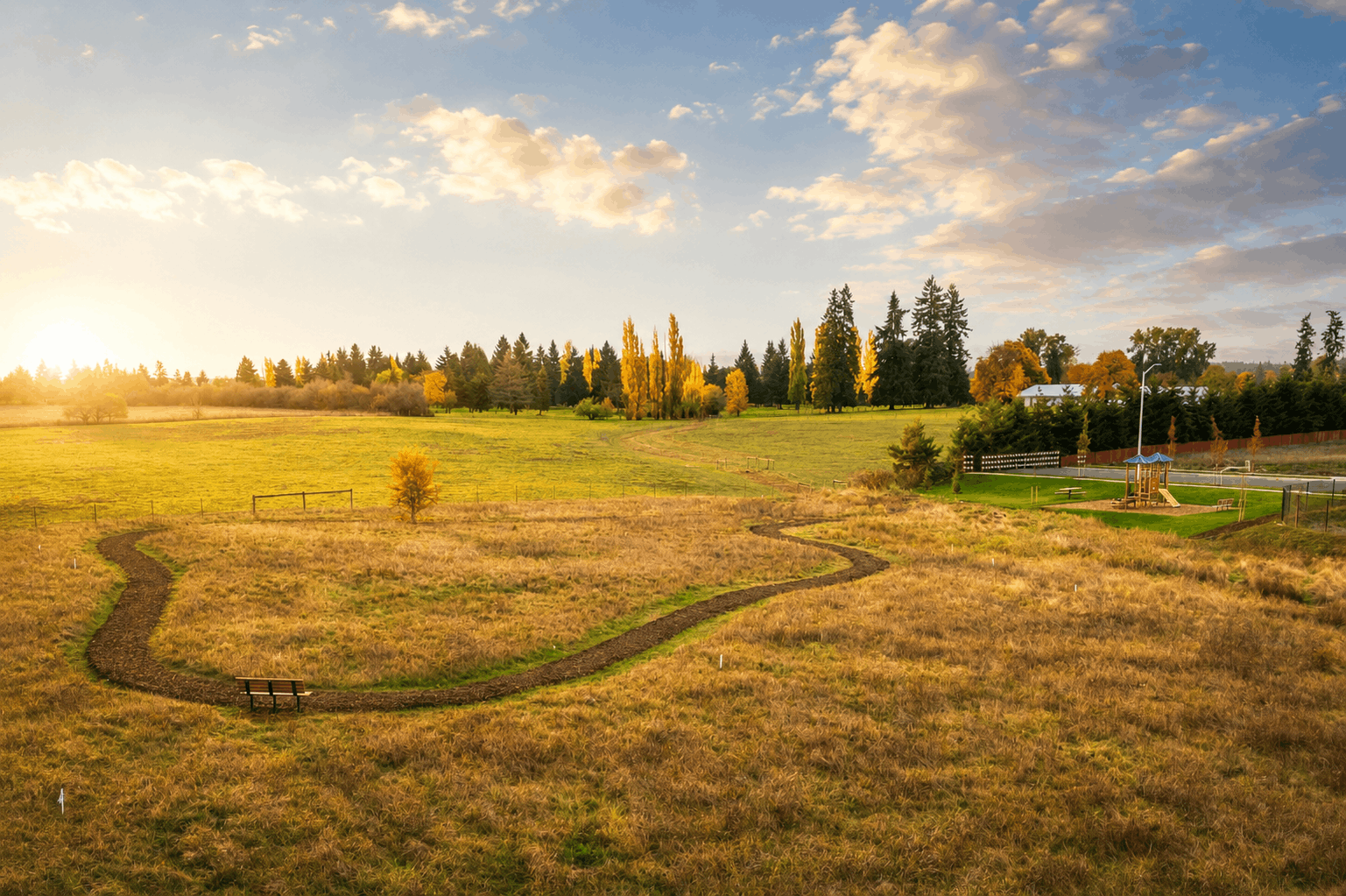 A large grassy field with trees in the background.