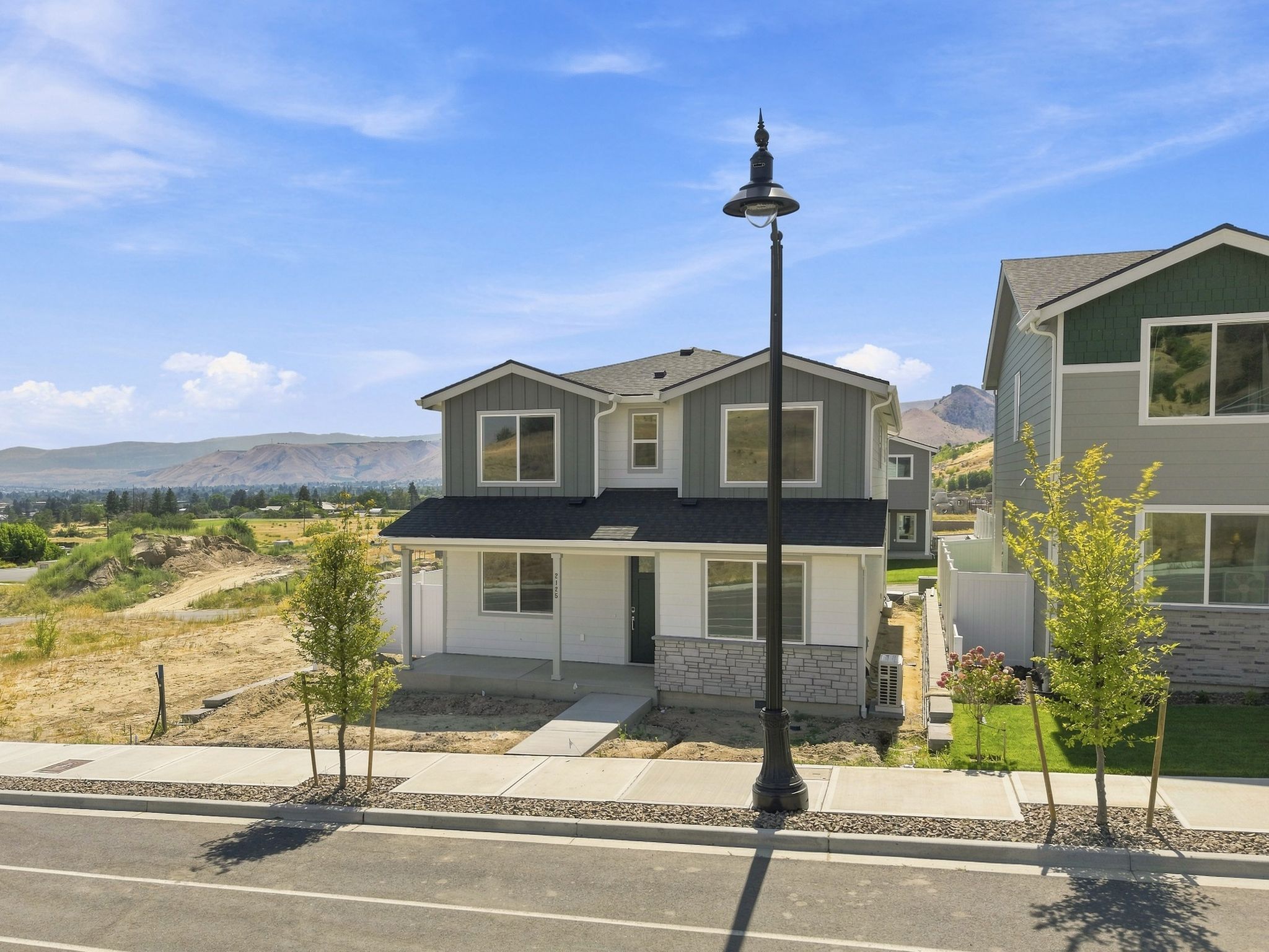 A street light in front of a house.