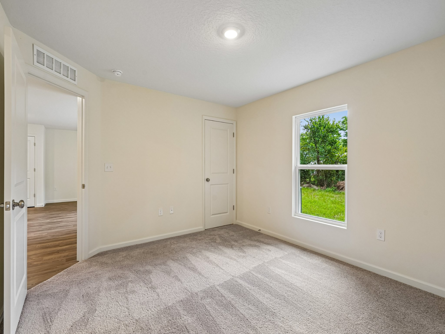A room with a window and a carpet.