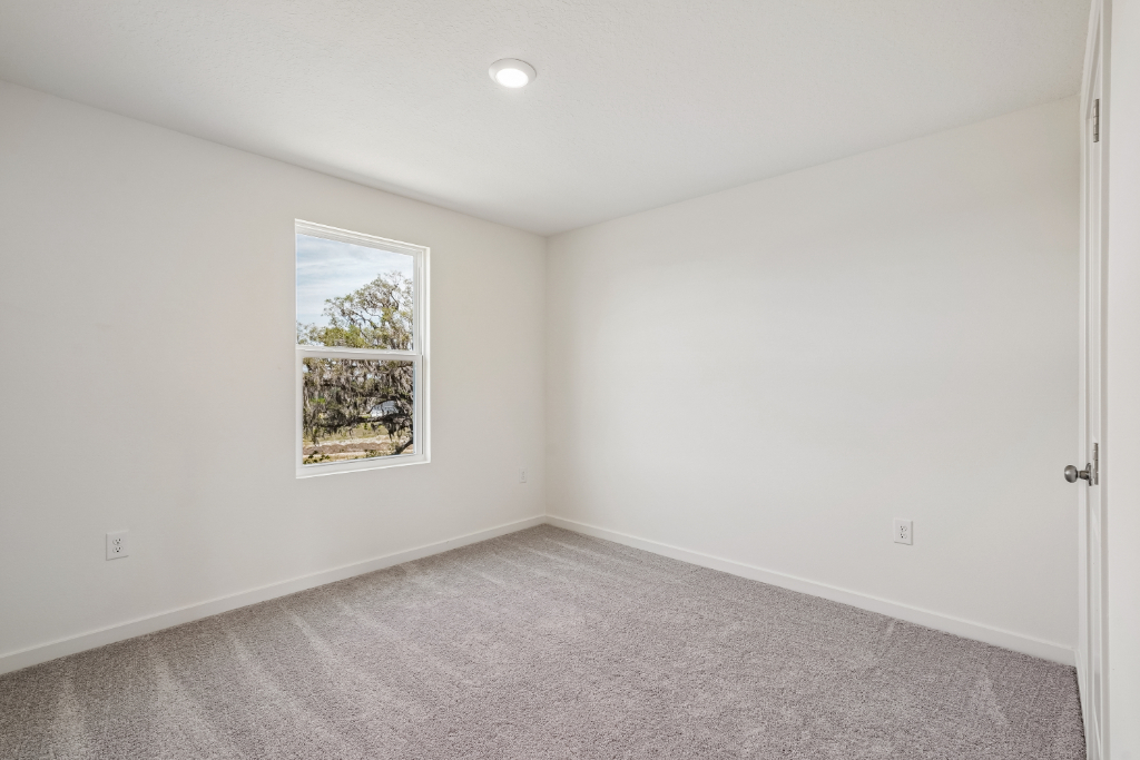 A room with a window and a carpet.