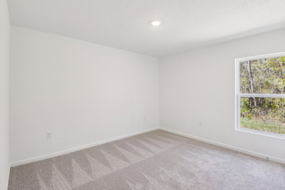 A room with a window and a rug.