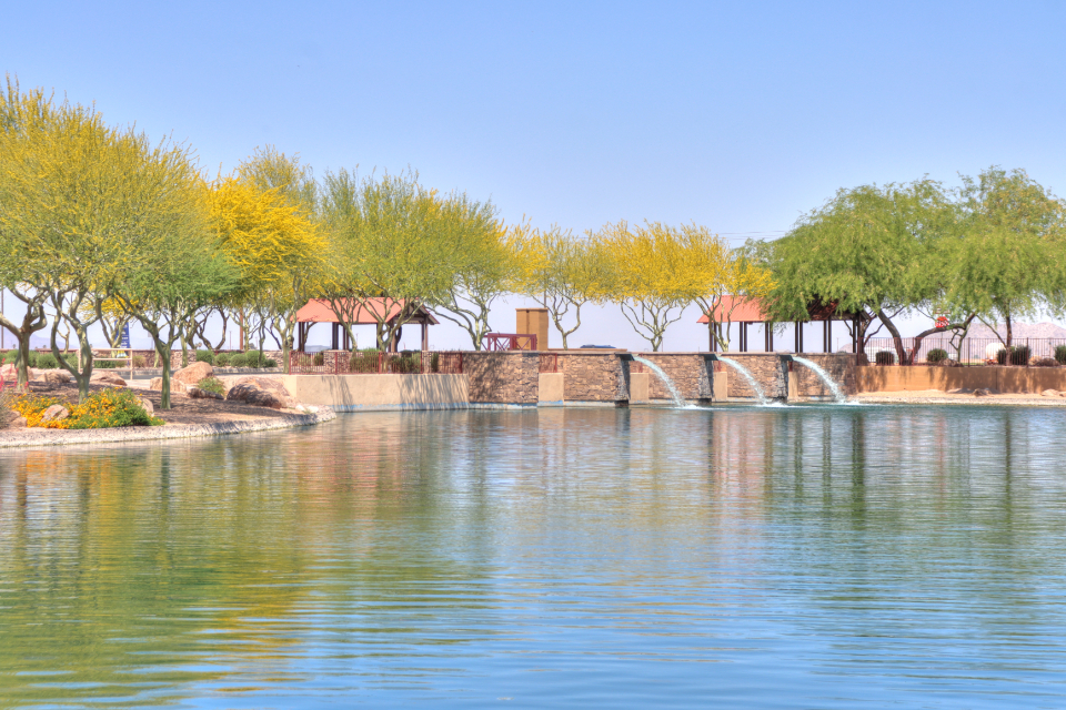 A body of water with trees and buildings in the background.