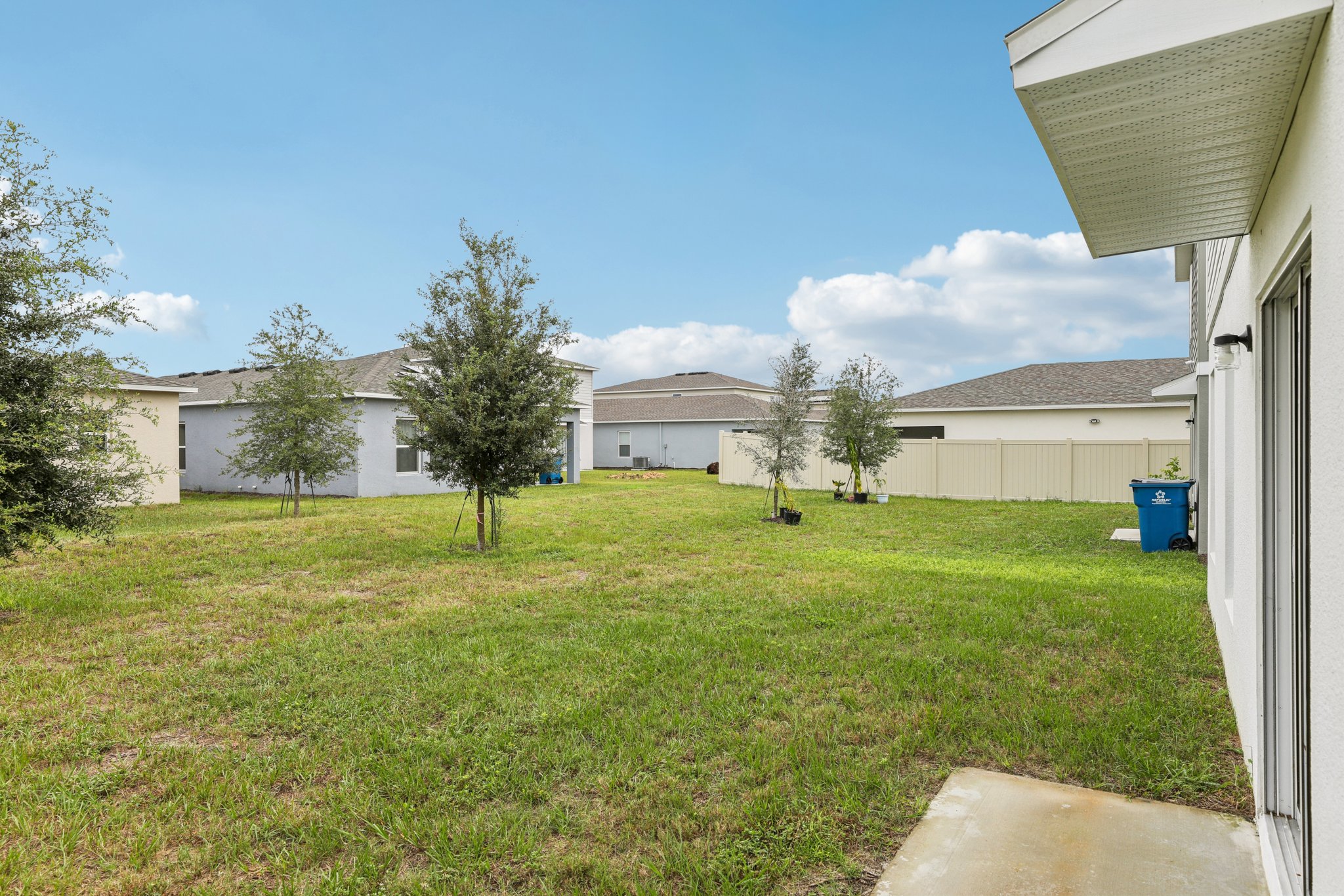 A yard with trees and grass.