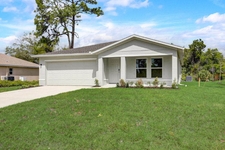 A house with a lawn.